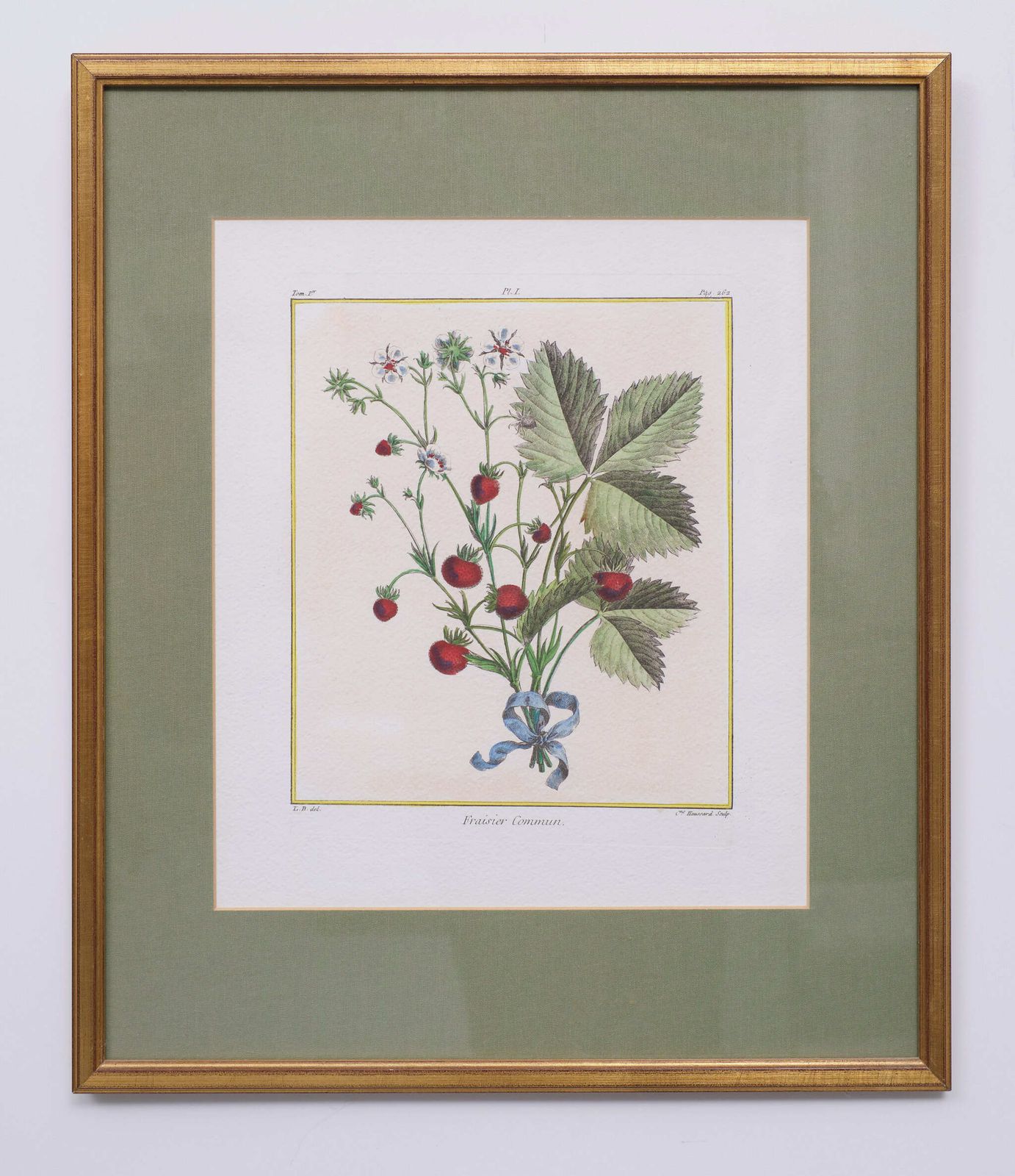 Set Elisabeth Haussard '1700 1804' 18 Century Hand Colored Engraving
