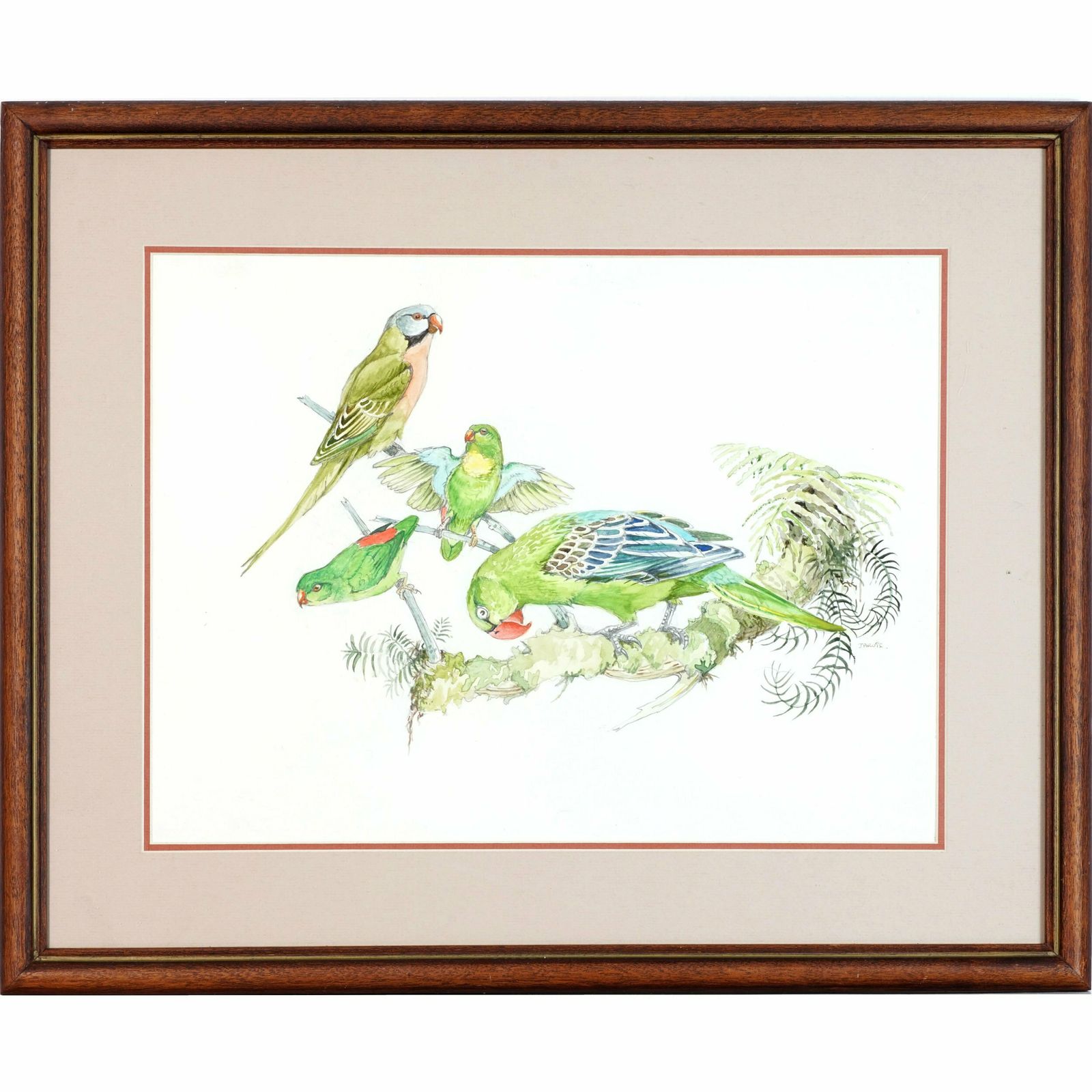 Ornithological Watercolour By Frank Jarvis, Parrots Of Southeast Asia
