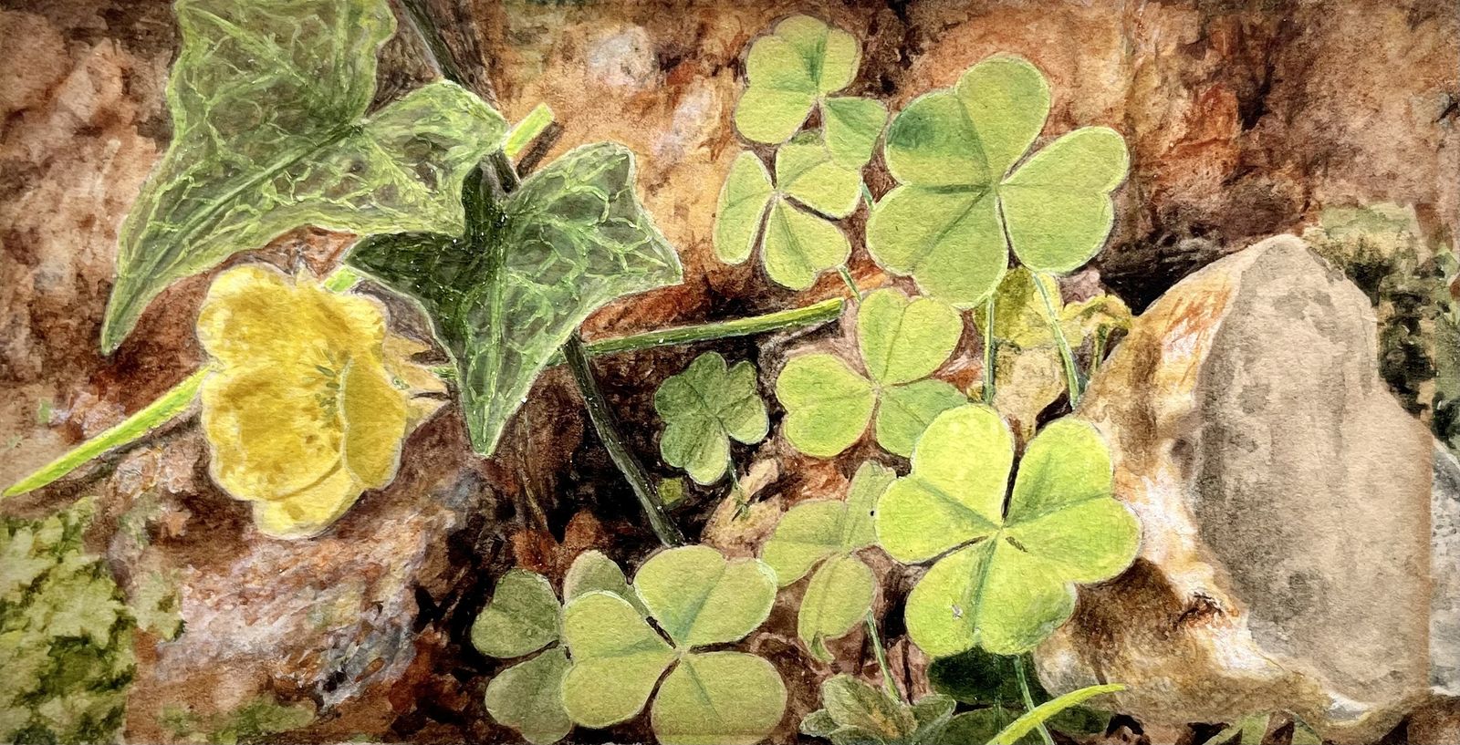 British School Victorian Still Life Watercolour Of Clover, Ivy And Buttercup