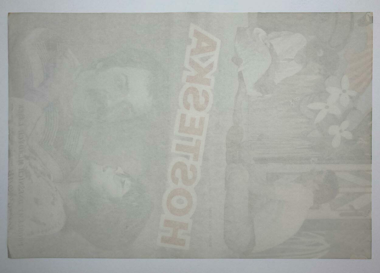 Original Film Poster, Hostess, Dimitrij Kadrnožka, 1976, Genuine Czech Vintage Print photo vinterior