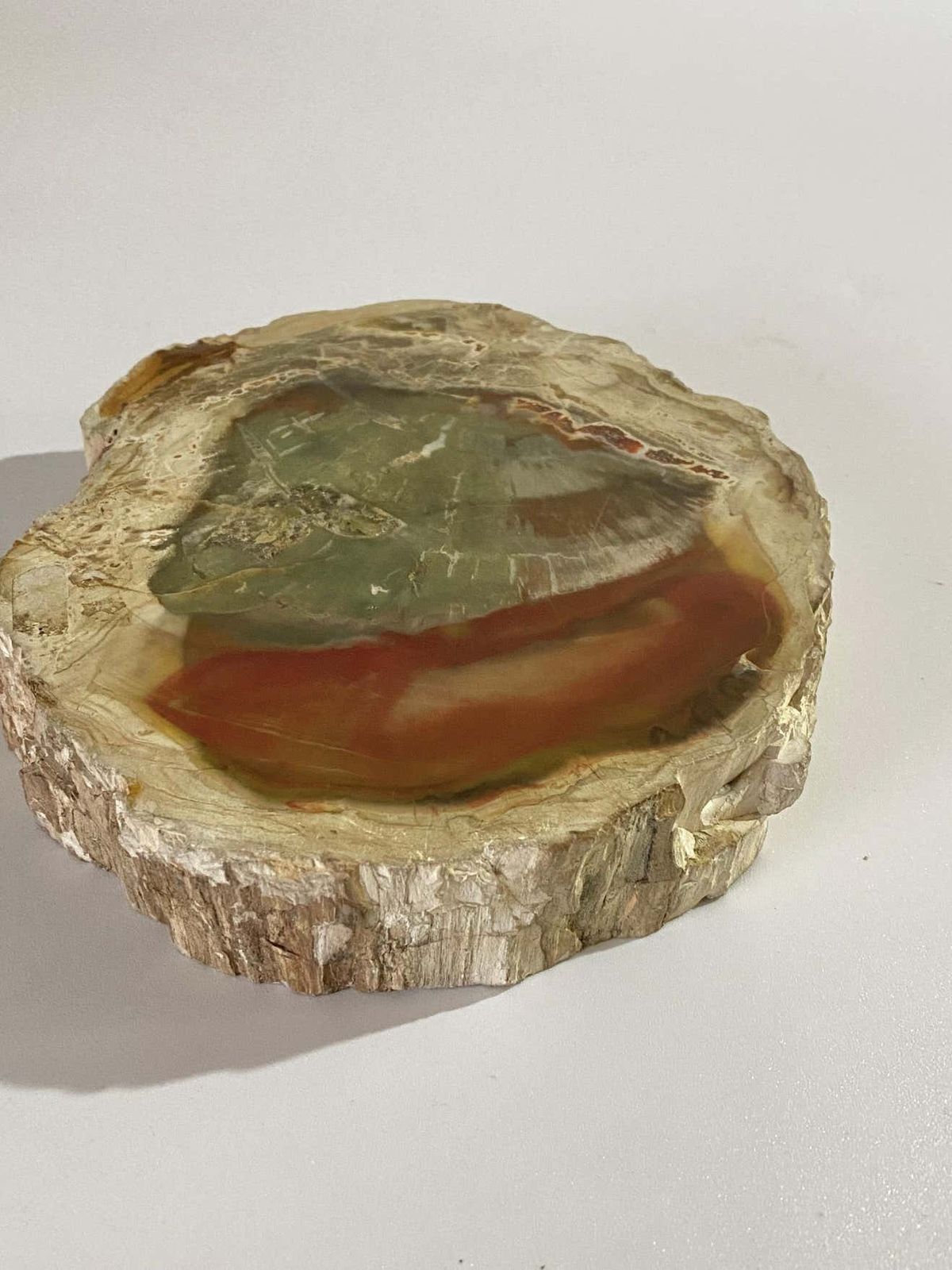 Petrified Wood Ashtray, 15th Century And Earlier, Organic Modern photo vinterior