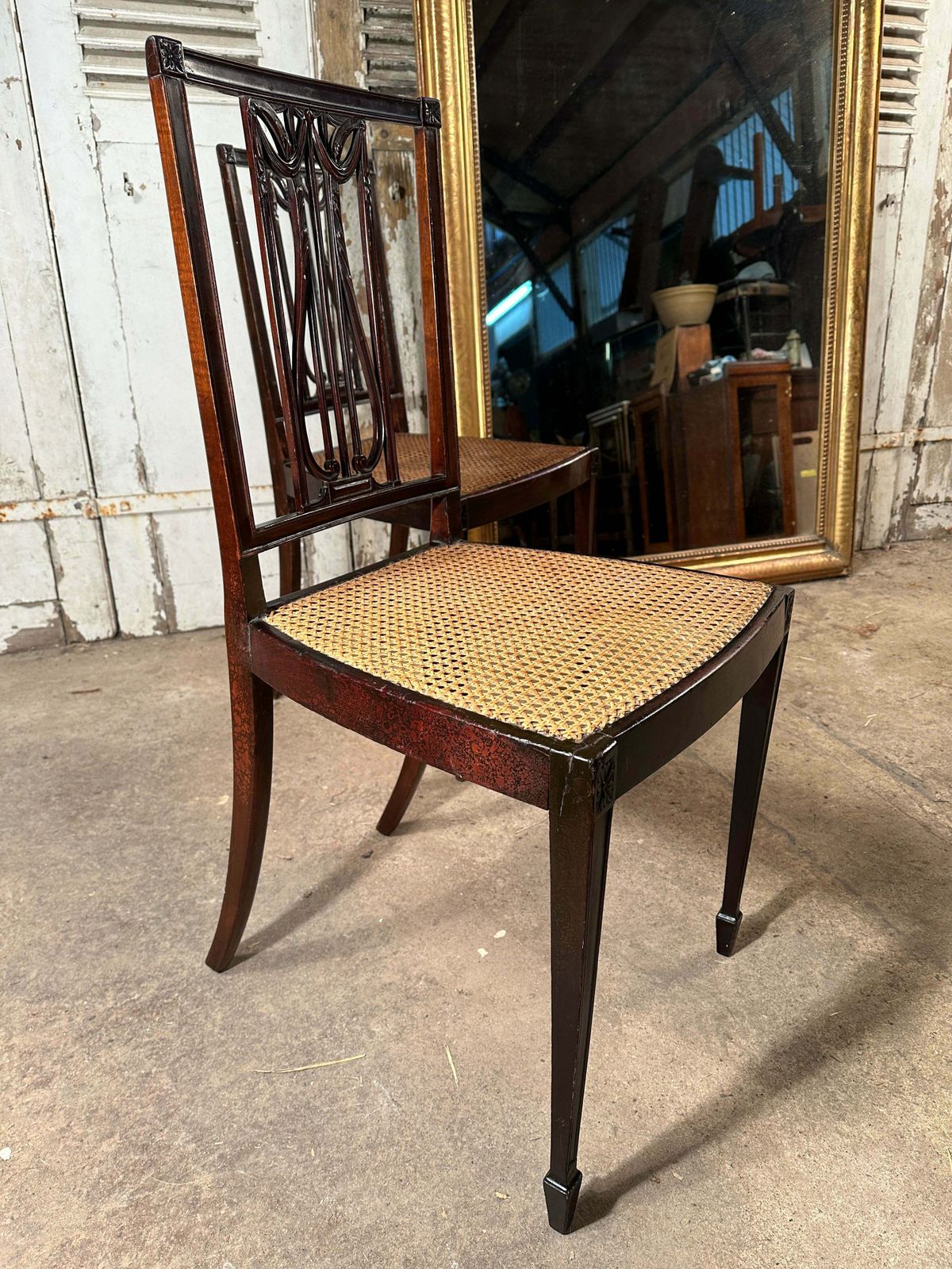 Rare Pair Of Original Federal Samuel Mcintire Sheraton Cuban Mahogany Cane Chairs Circa 1790 photo buy