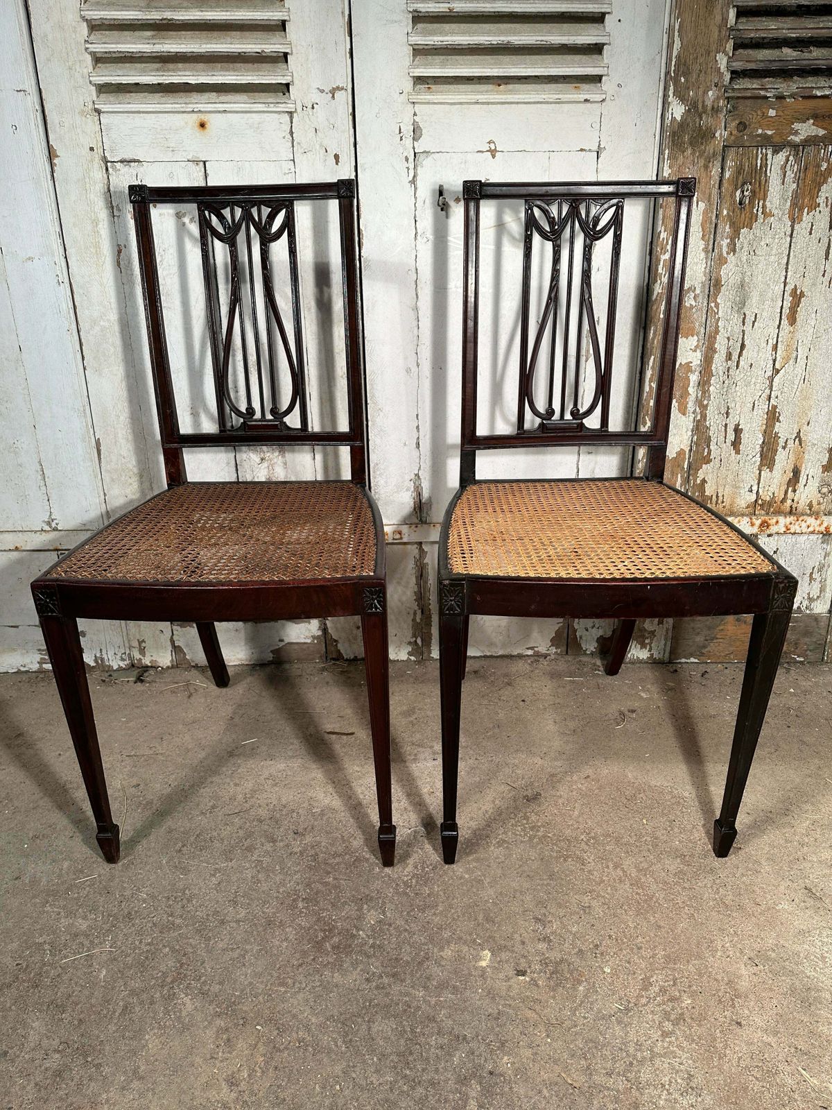 photo for sale Rare Pair Of Original Federal Samuel Mcintire Sheraton Cuban Mahogany Cane Chairs Circa 1790