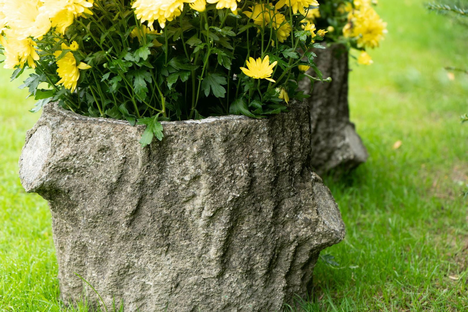 Pair Circular Faux Bois Planters photo Garden Decor