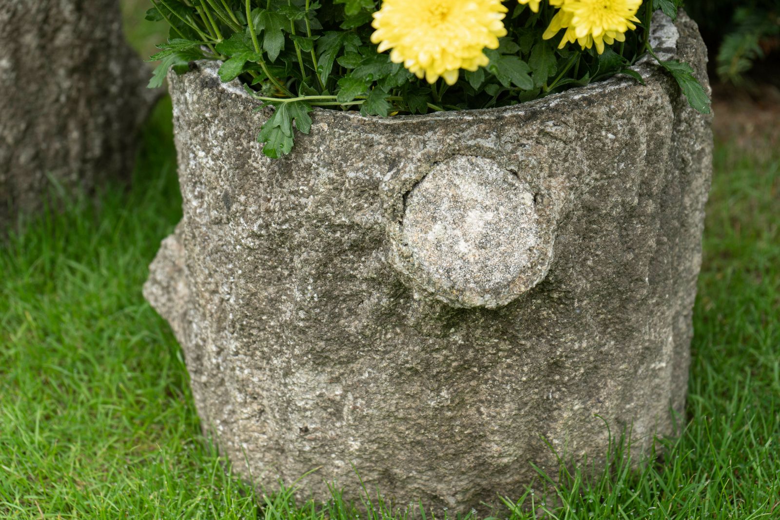 Pair Circular Faux Bois Planters photo vinterior