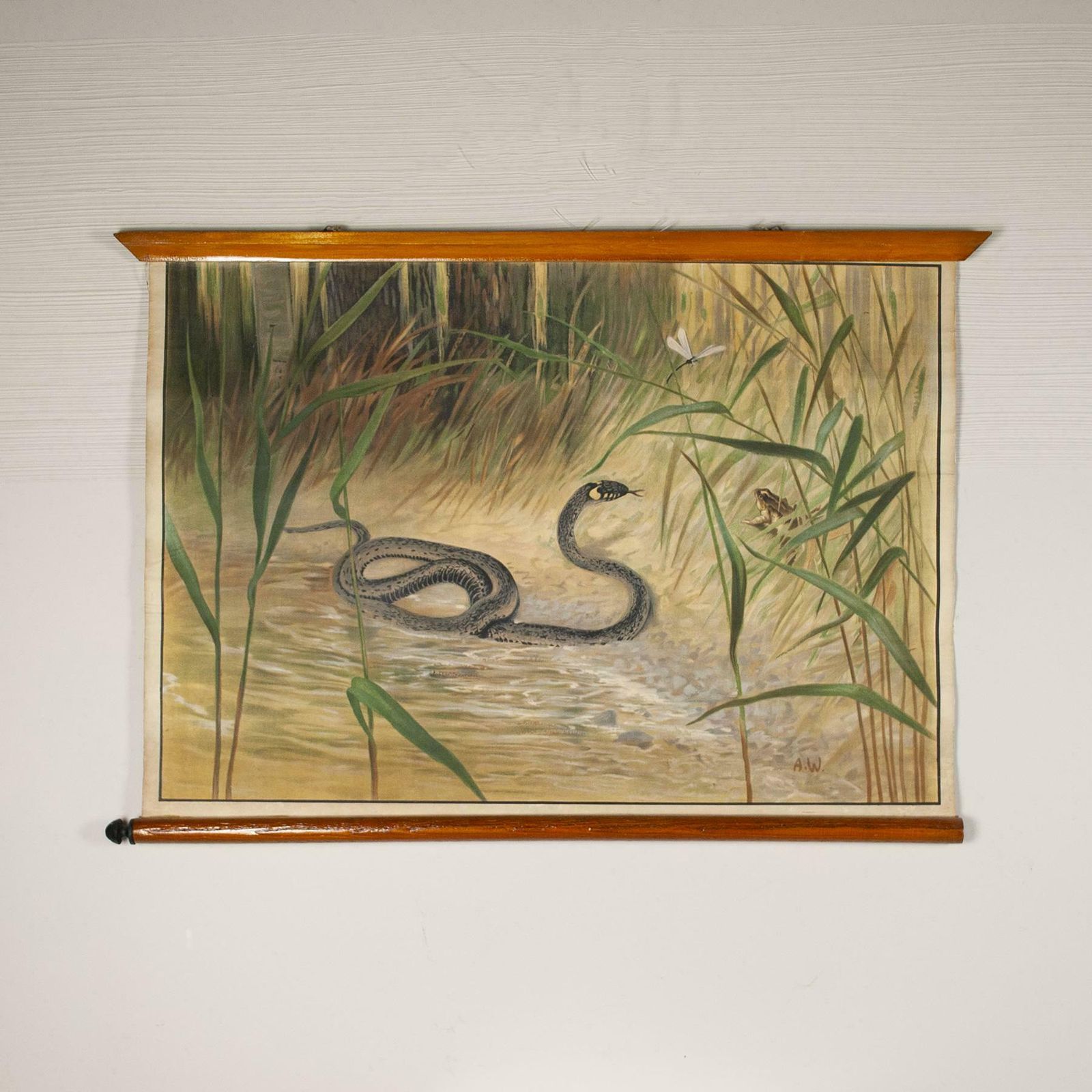 Antonio Vallardi Snake Linen Canvas Print photo 447.64
