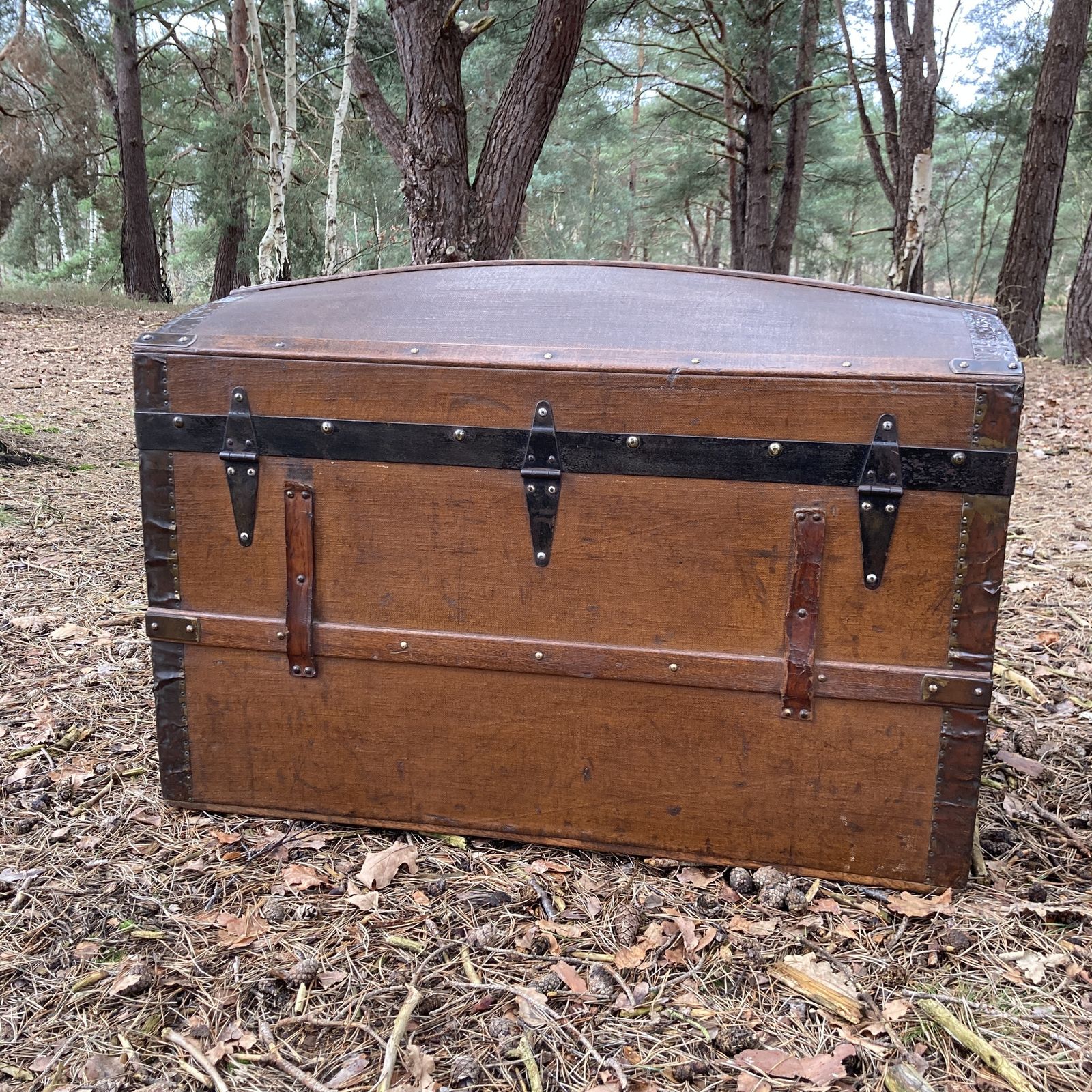 Furniture Vintage Steamer / Cabin Trunk, Circa 1880 photo