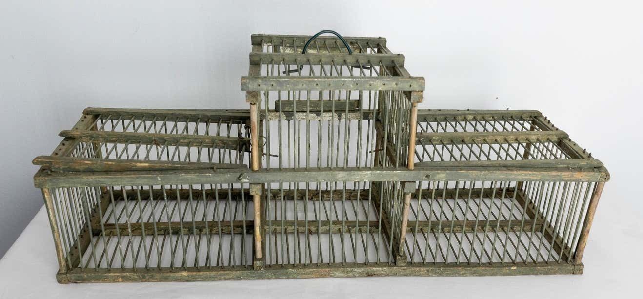 French Country Antique Beech & Iron Bird Cage, Circa 1900 photo buy