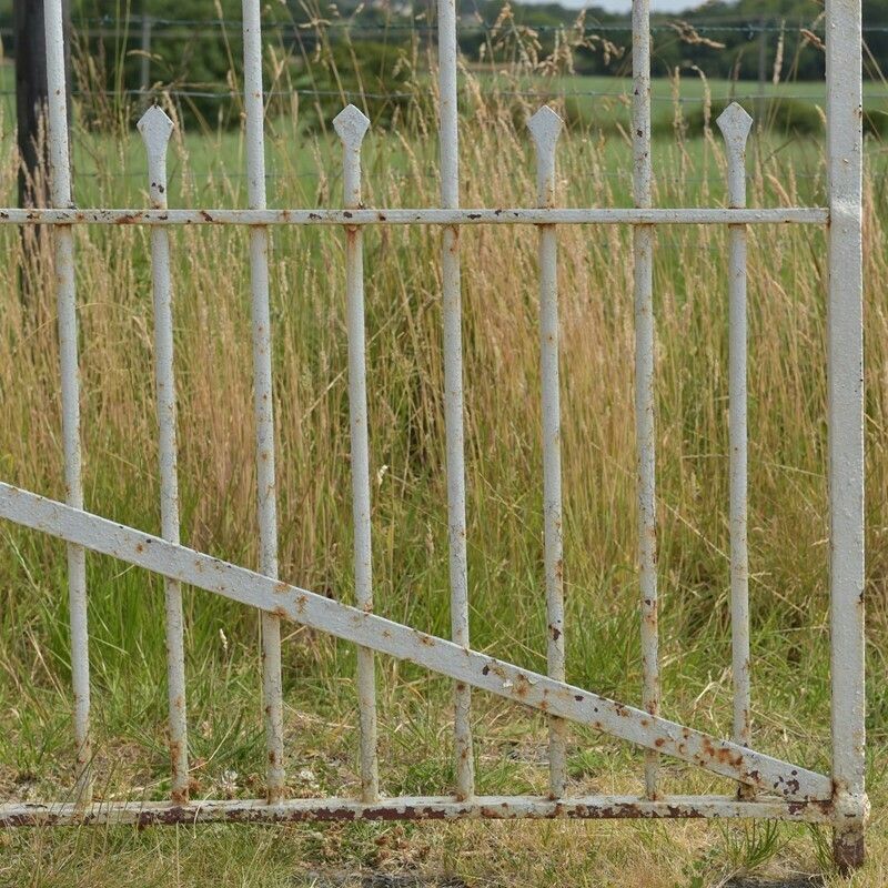 Antique Iron Driveway Gates, 1800s photo Home Fixtures