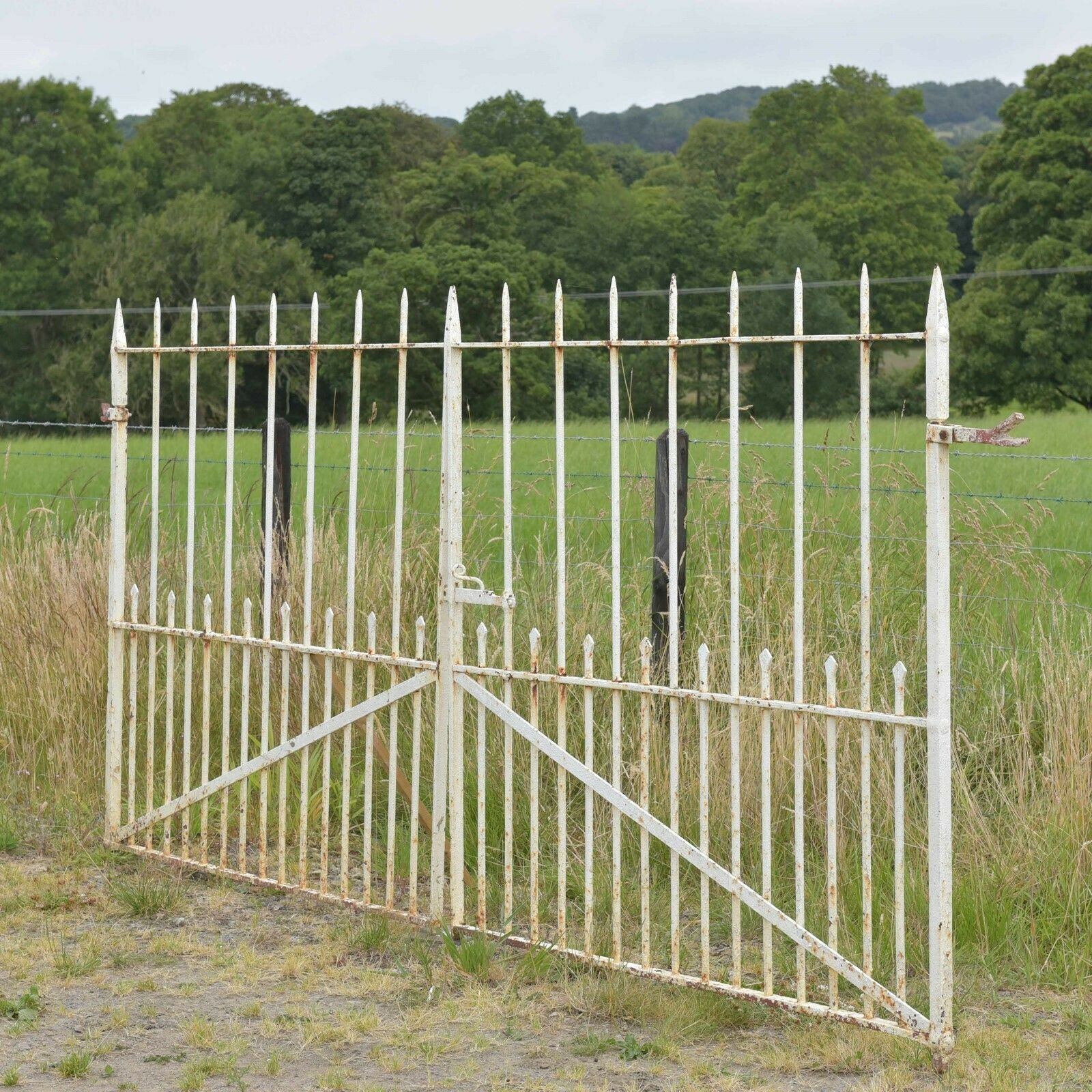 photo for sale Antique Iron Driveway Gates, 1800s