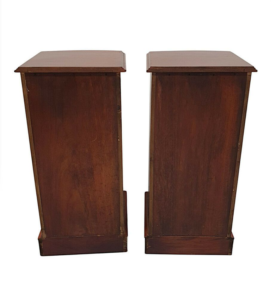 A Very Fine Pair Of Large 19th Century Bow Fronted Bedside Chests photo buy