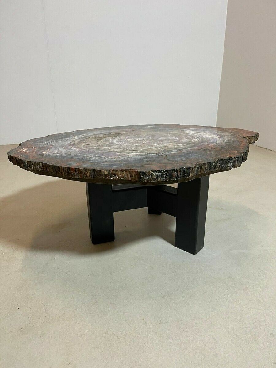 Mid Century Modern Petrified Wood Coffee Table photo for sale