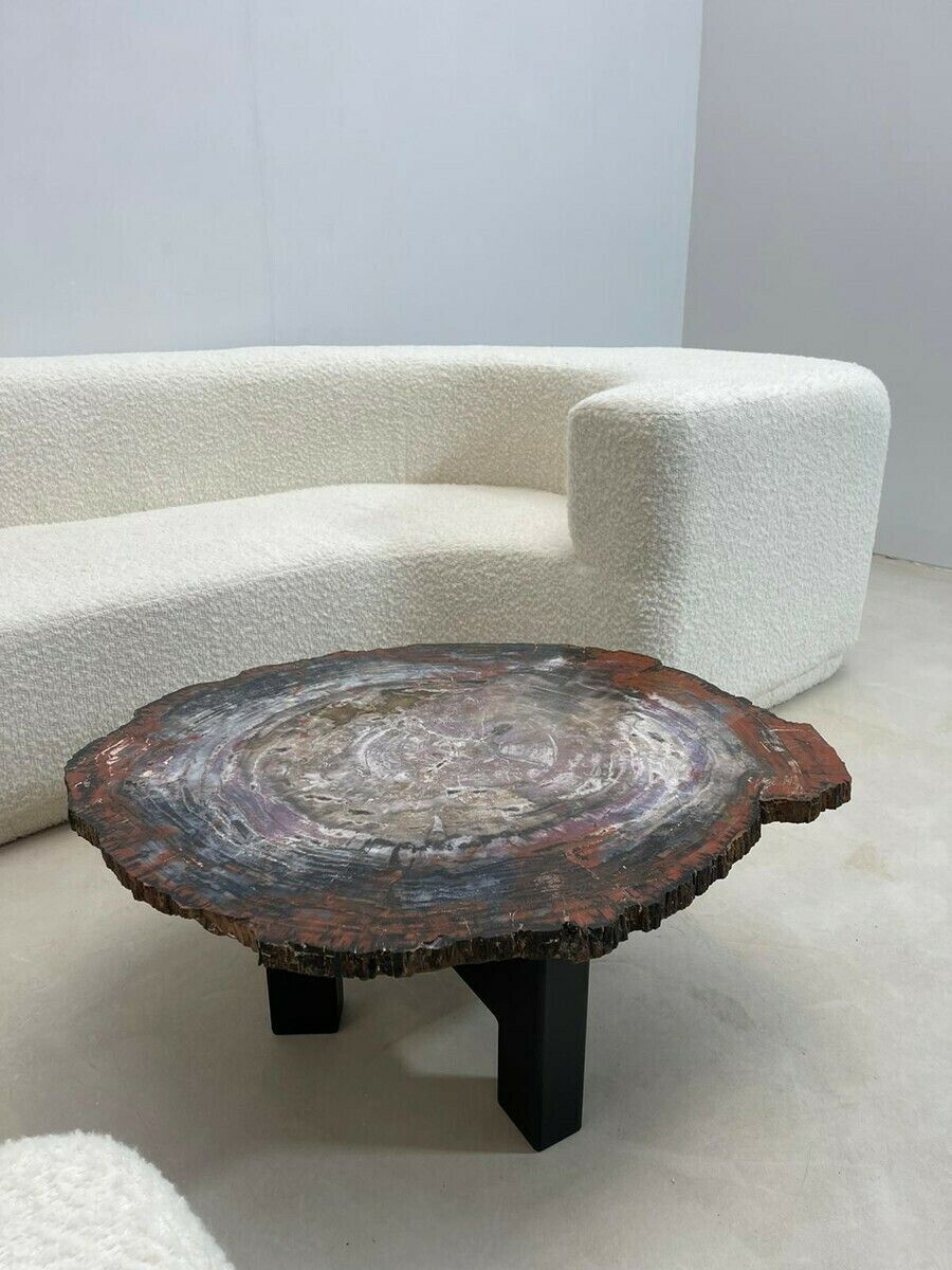 Mid Century Modern Petrified Wood Coffee Table photo buy