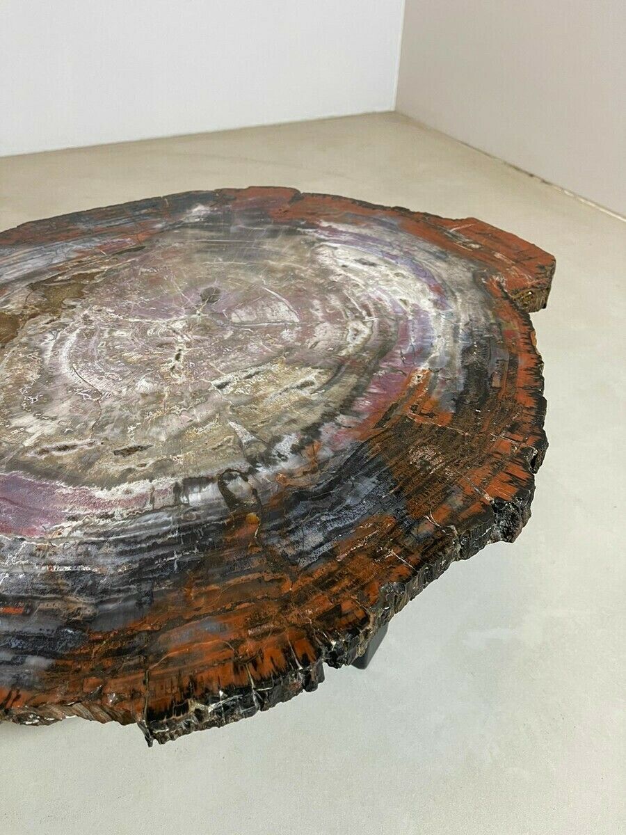 photo for sale Mid Century Modern Petrified Wood Coffee Table