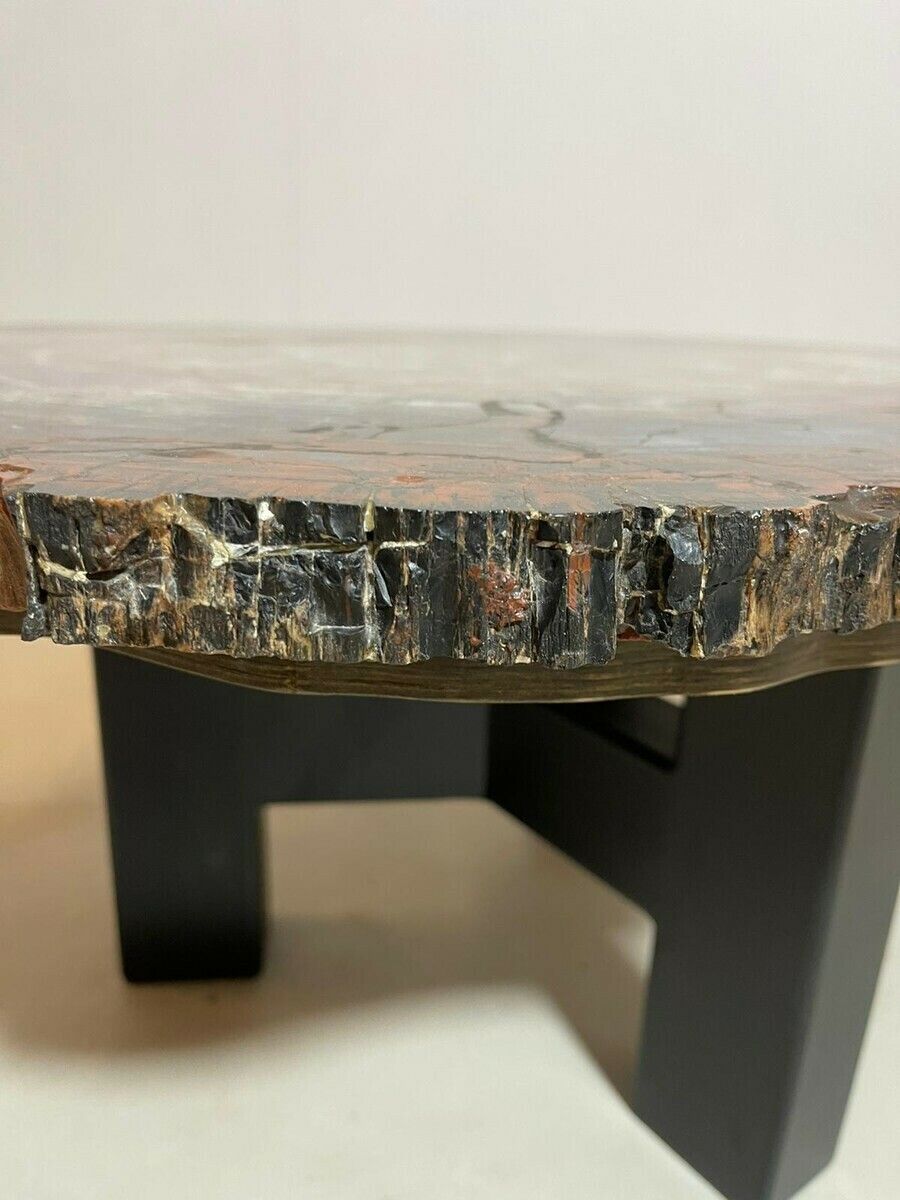 Furniture Mid Century Modern Petrified Wood Coffee Table photo