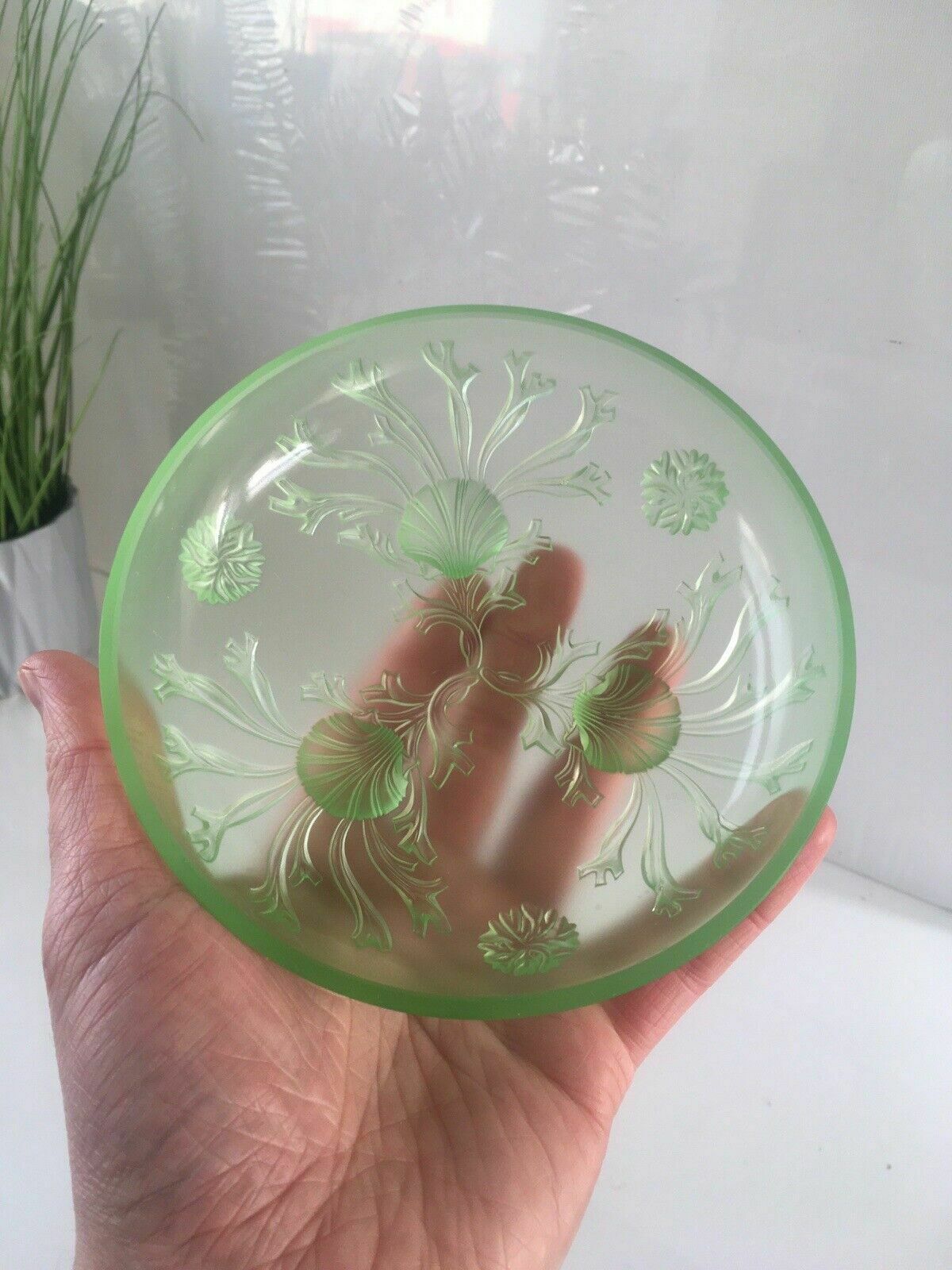 photo buy Art Deco Uranium Glass Dessert Bowl Set Seaweed Seashell Verlys Walther & Sohne
