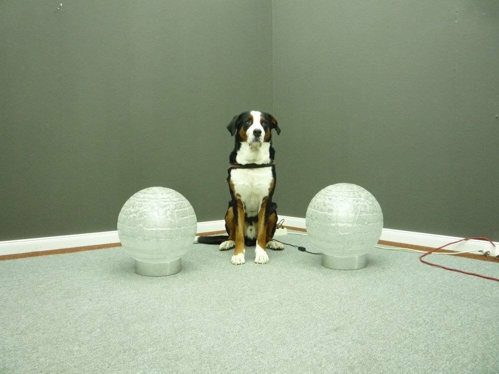 Ice Glass & Chrome Space Age Floor Lamps From Doria, 1960s, Set Of 2 photo 1143.0