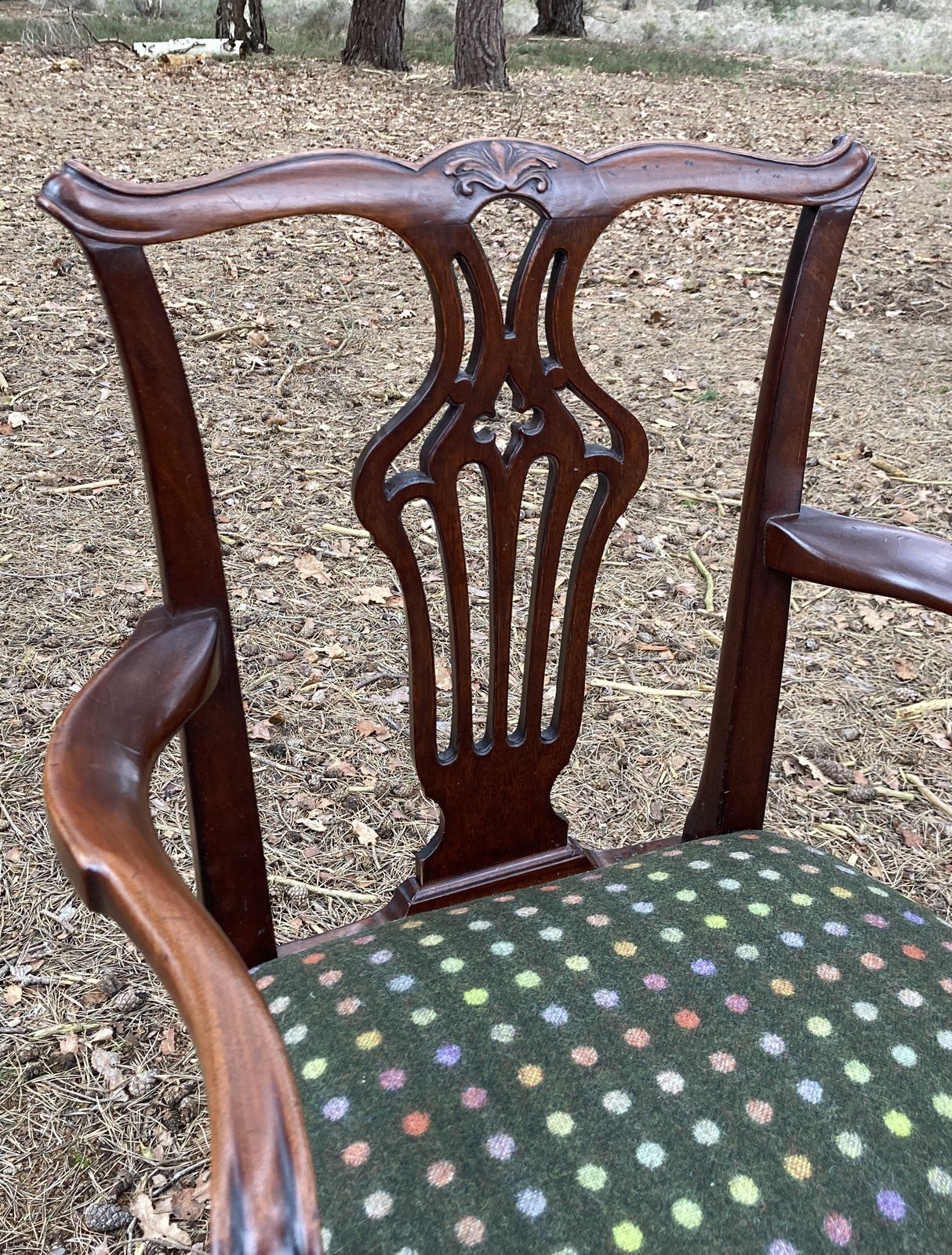 Pair Of Mahogany Open Armchairs / Carvers, Circa 1830 photo for sale