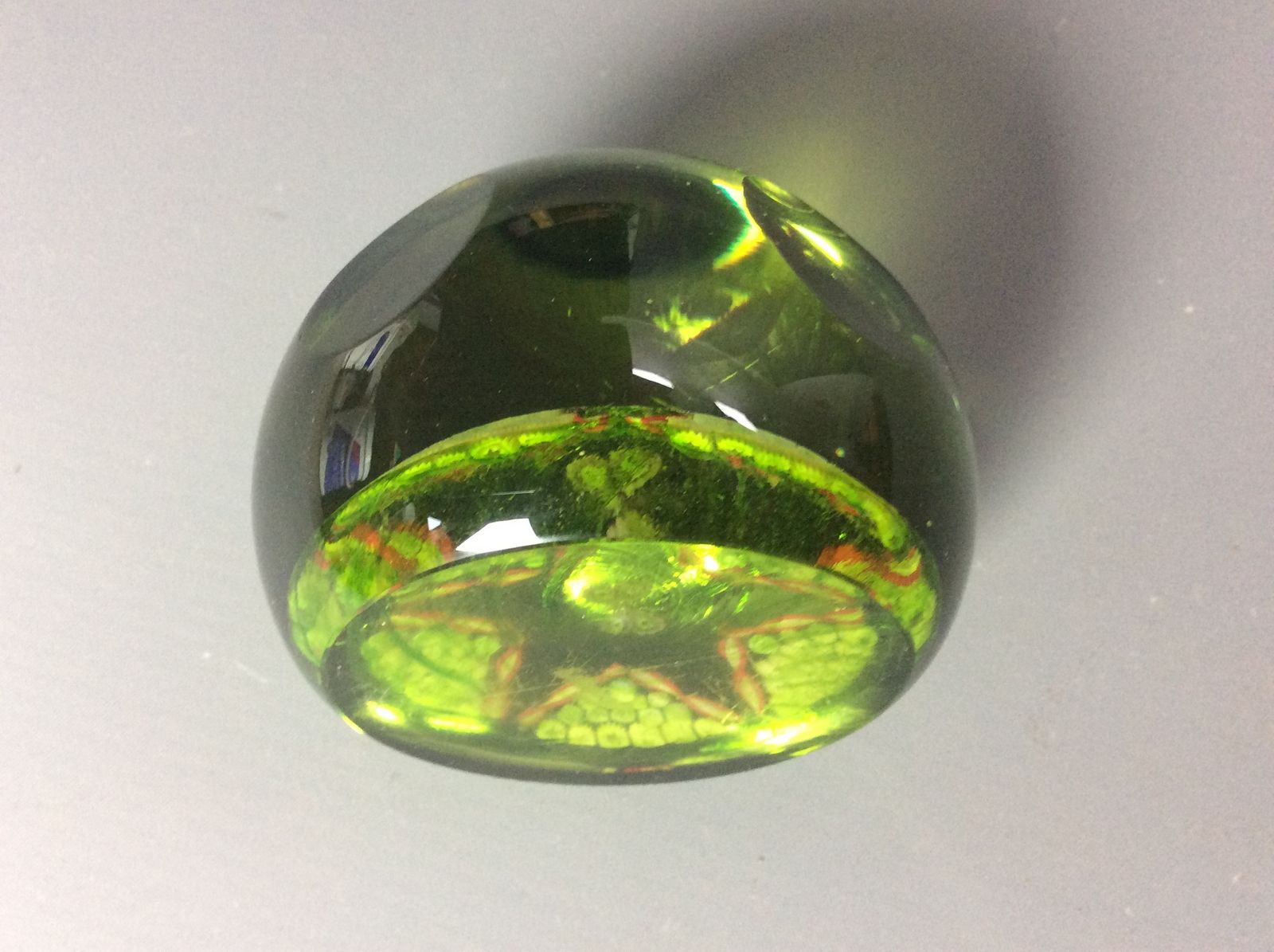 Caithness Paperweight Bohemian Butterfly photo 153.0