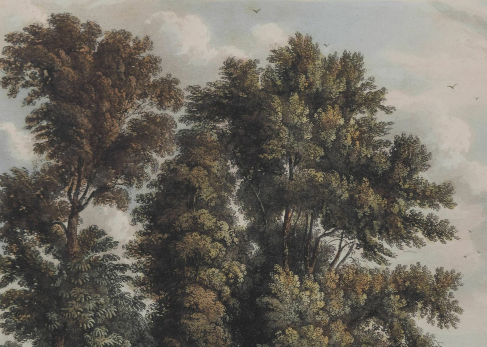 Joseph Constantine Stadler (1755 – 1828) After William Westall (1781 – 1850) Entrance To The Avenue, From Clare Hall Piece (1815) photo Art