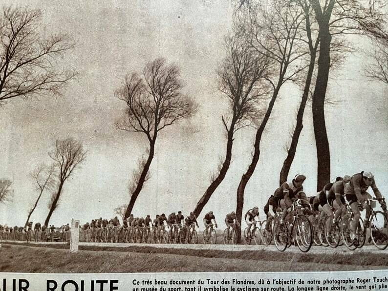 Vintage Cycling Print 1953 Tour De Flandres. photo buy