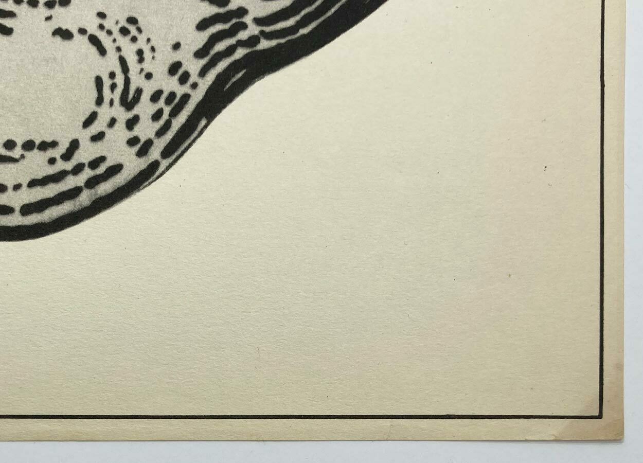 photo buy Movie Poster, The Woodpecker, Karel Teissig, 1970