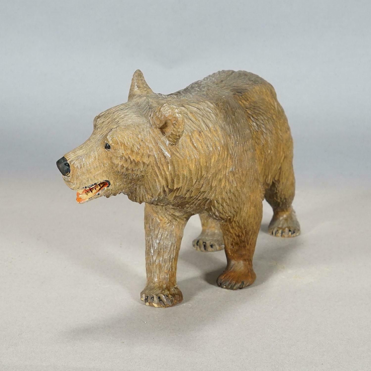 Vintage Wooden Walking Bear Handcarved In Brienz Ca. 1930s