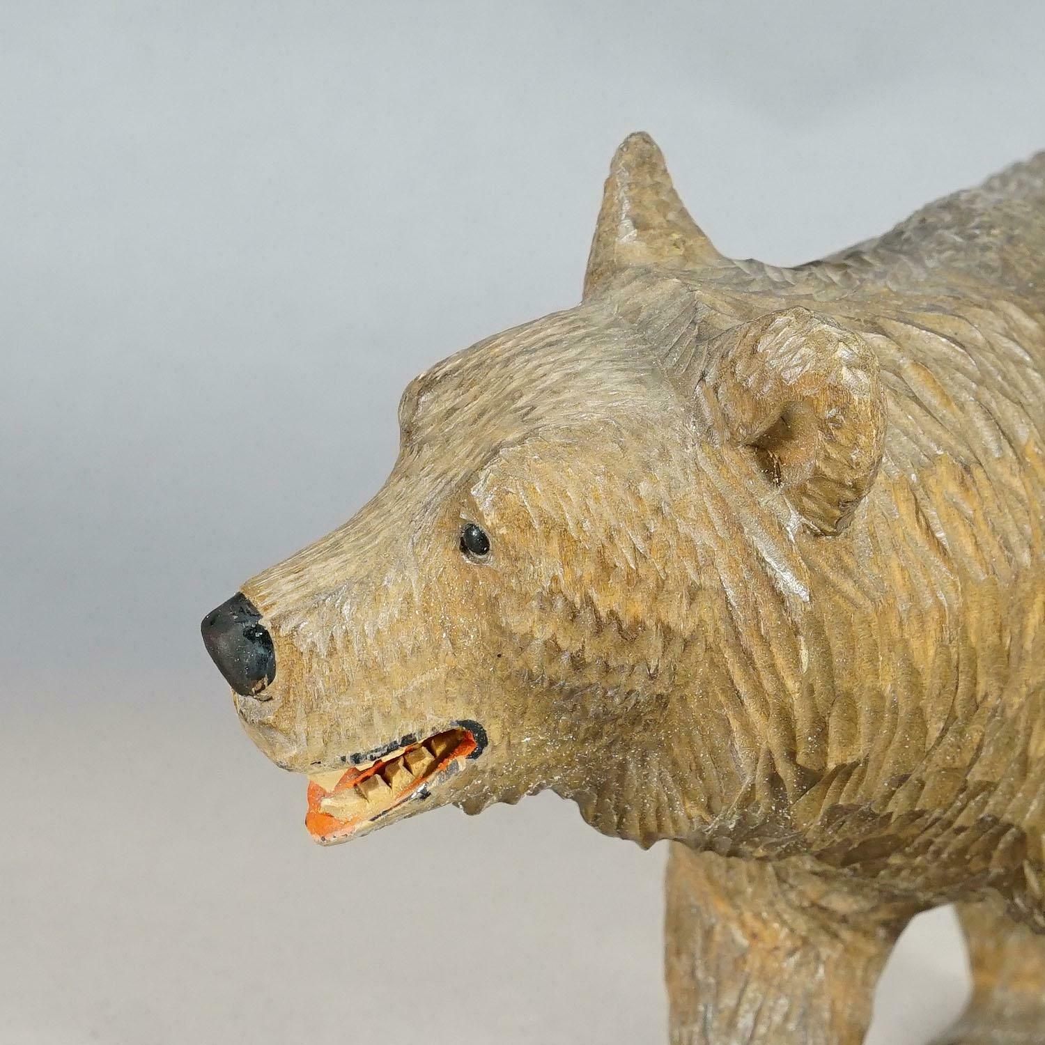 Vintage Wooden Walking Bear Handcarved In Brienz Ca. 1930s photo Art