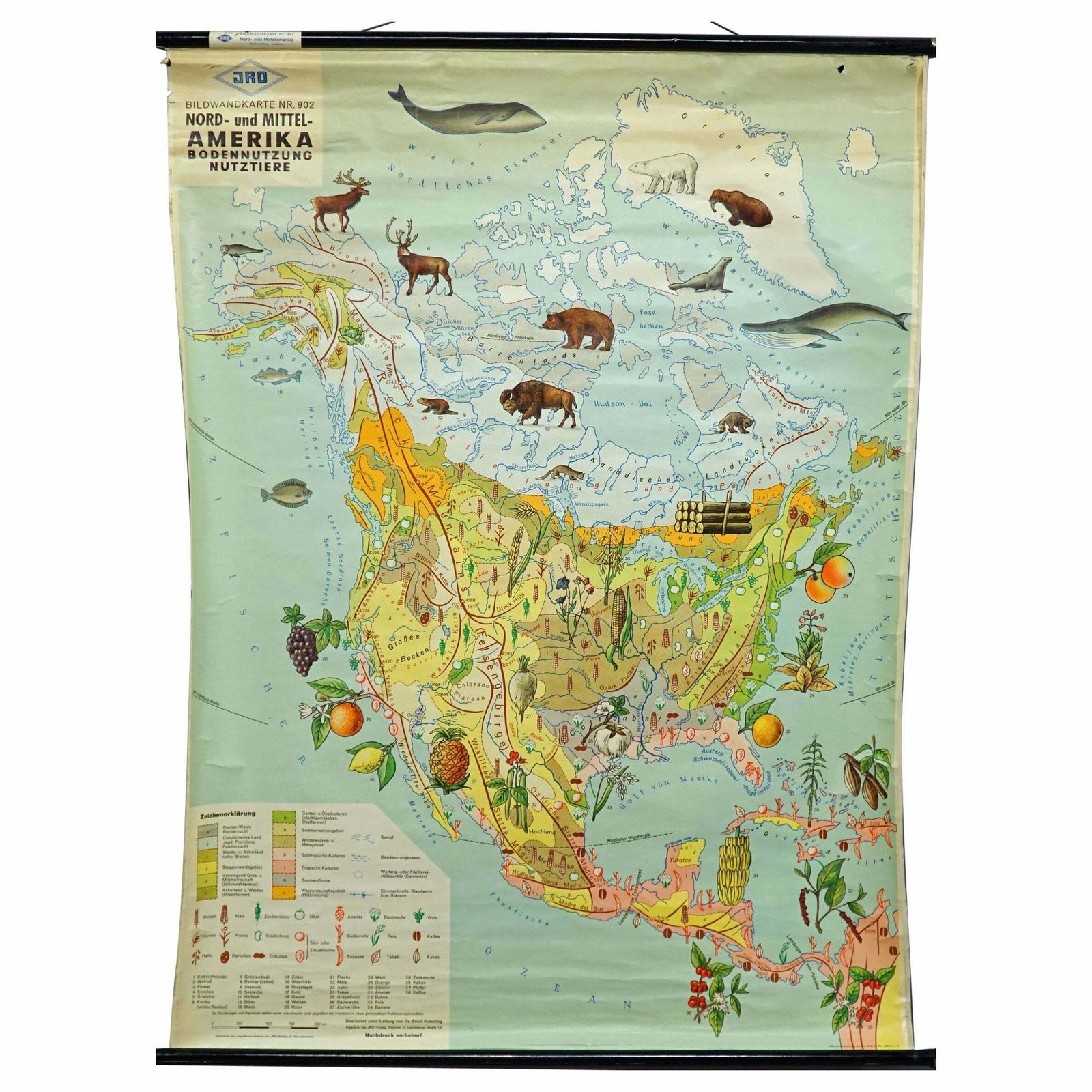 Land Use And Livestock North America Picture Map Wall Chart Poster Mural