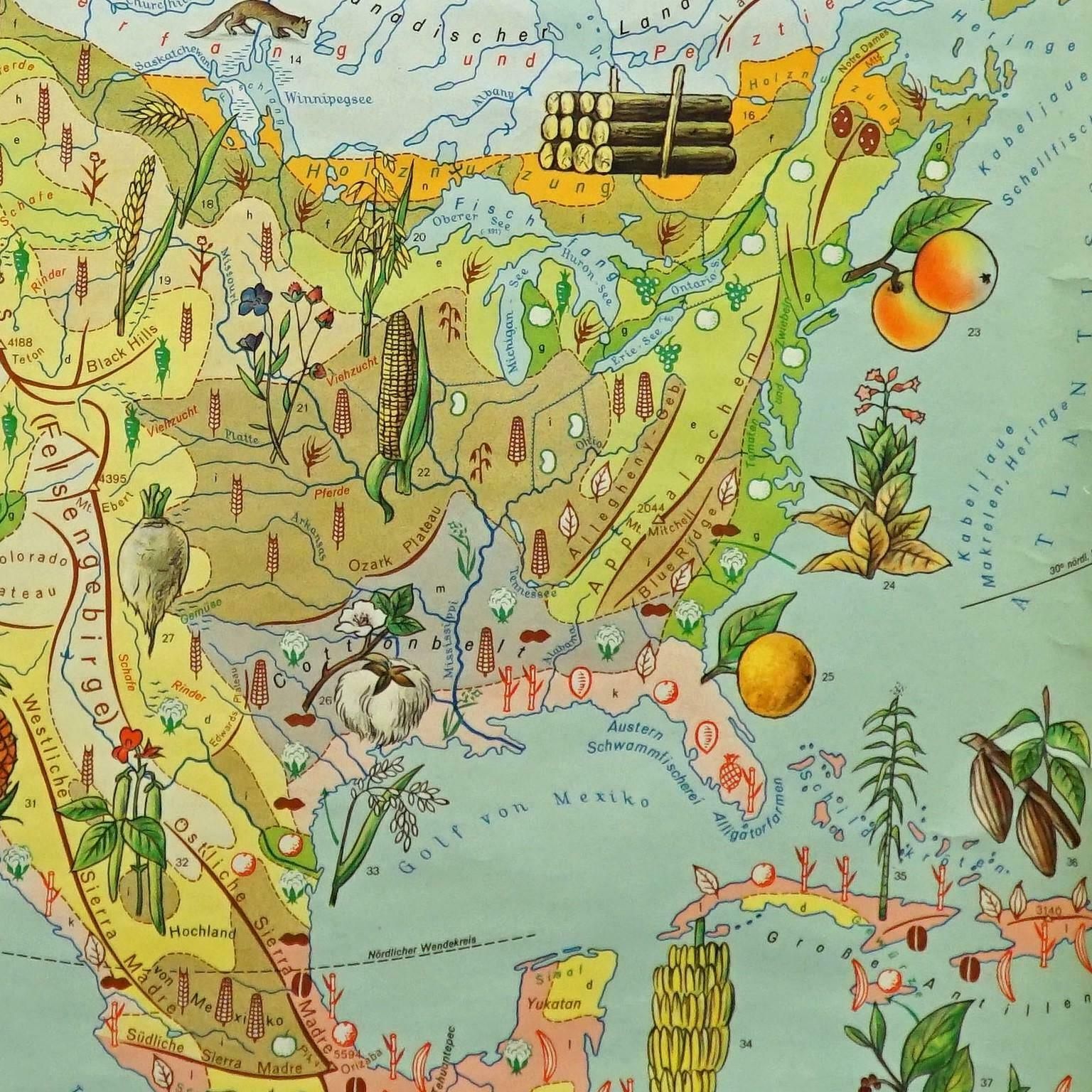 Land Use And Livestock North America Picture Map Wall Chart Poster Mural photo 325.0