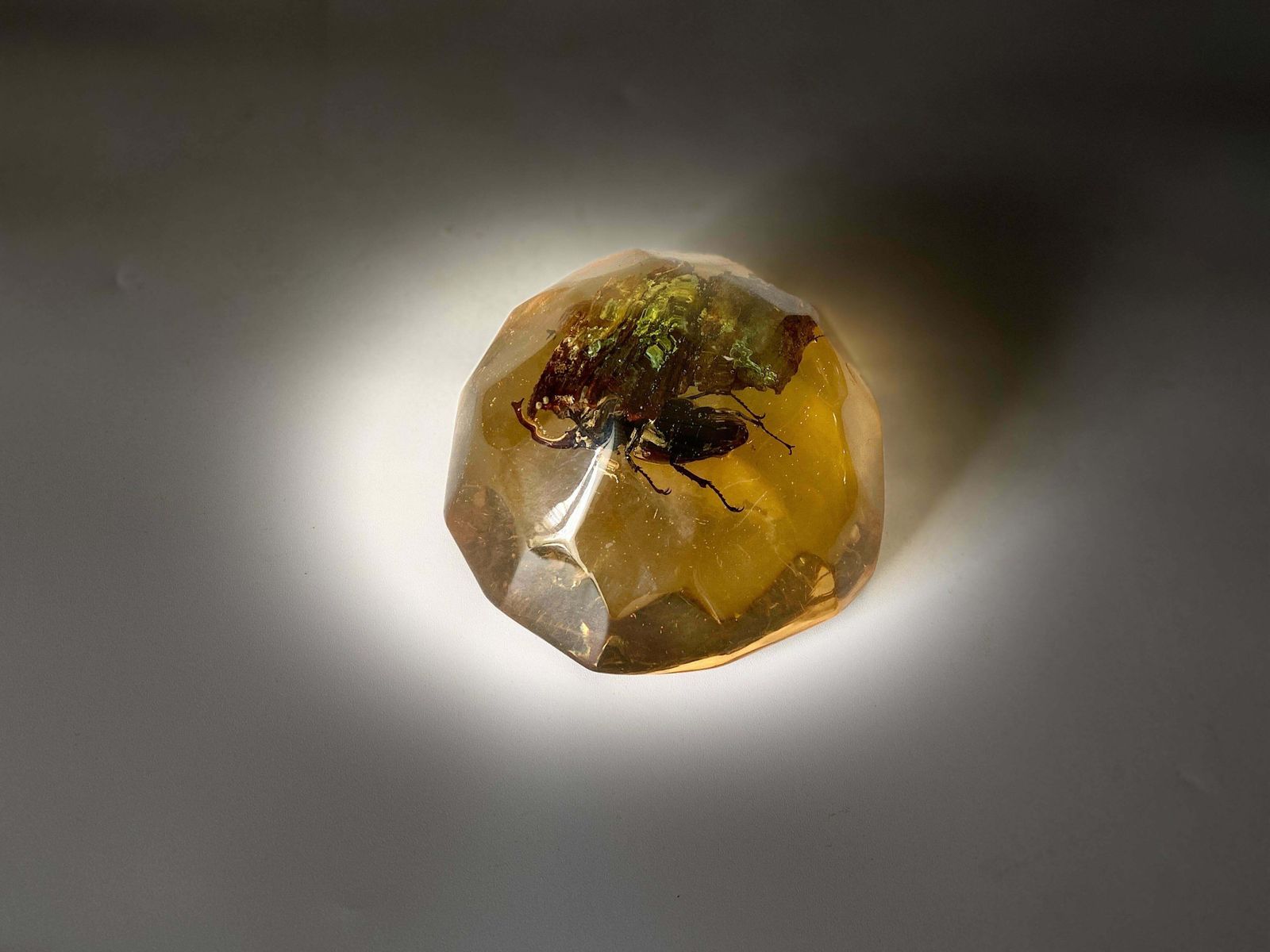 French, 1970s, Lucite Resin Cube Sculpture With Beetles photo for sale