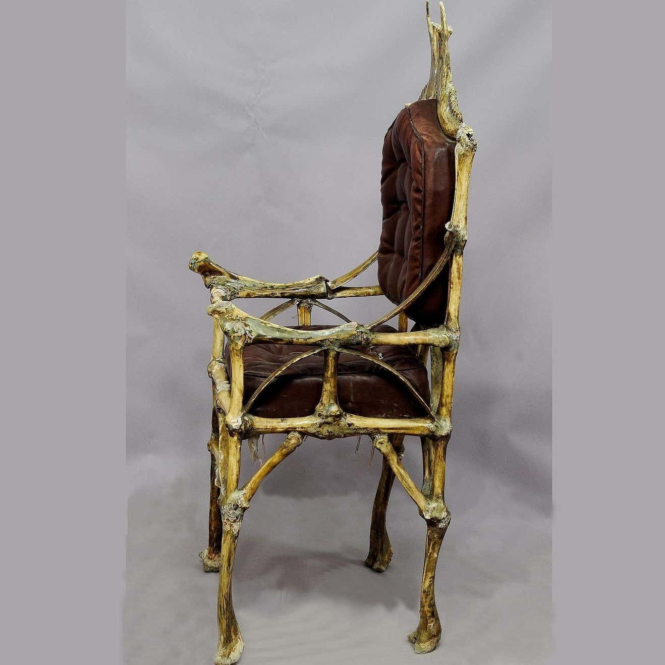 Large Wacky Bull Bone Throne Chair Circa 1930 photo for sale