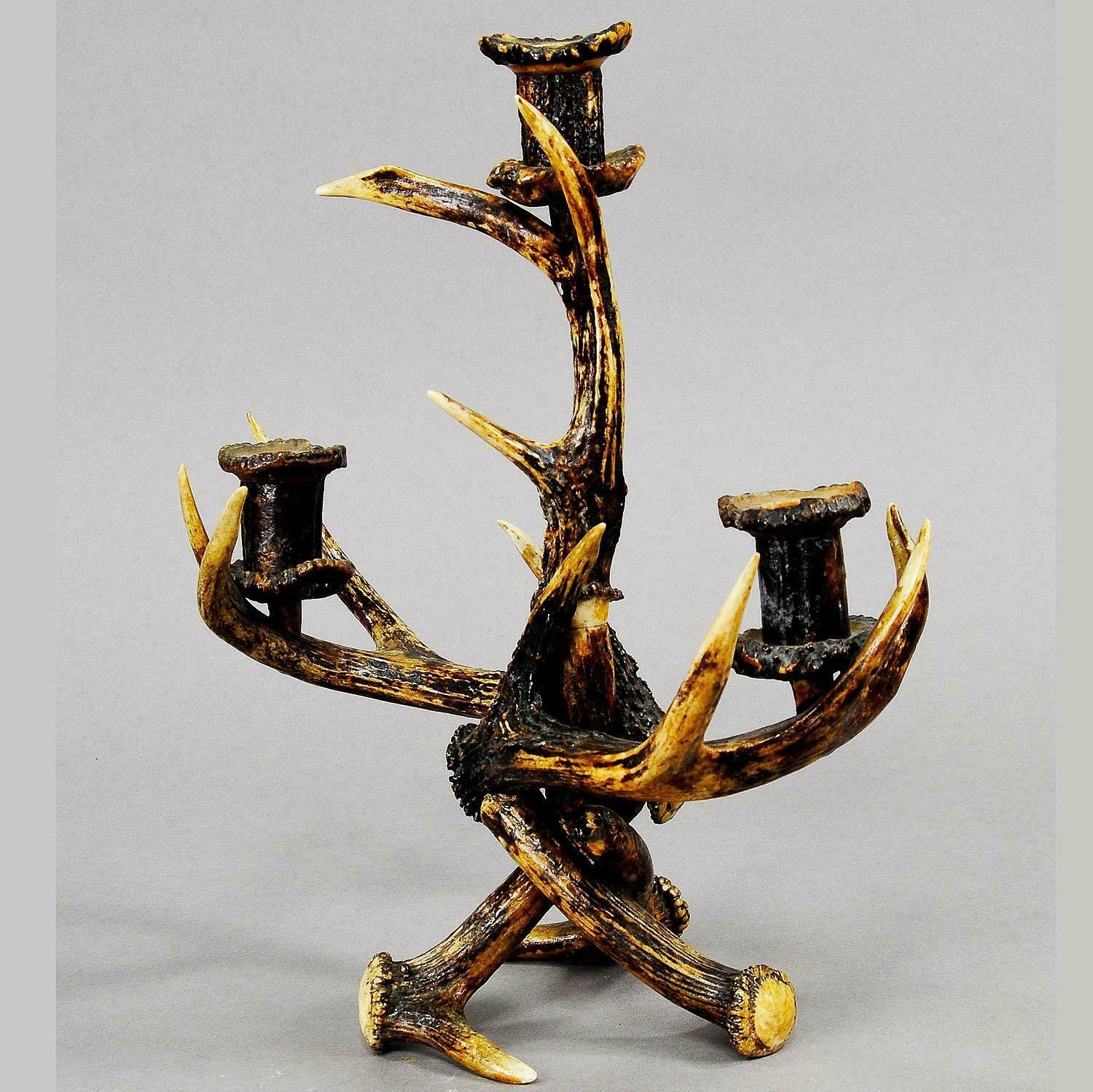 Decorative Antique Antler Candelabra With Three Spouts, 1900 photo for sale