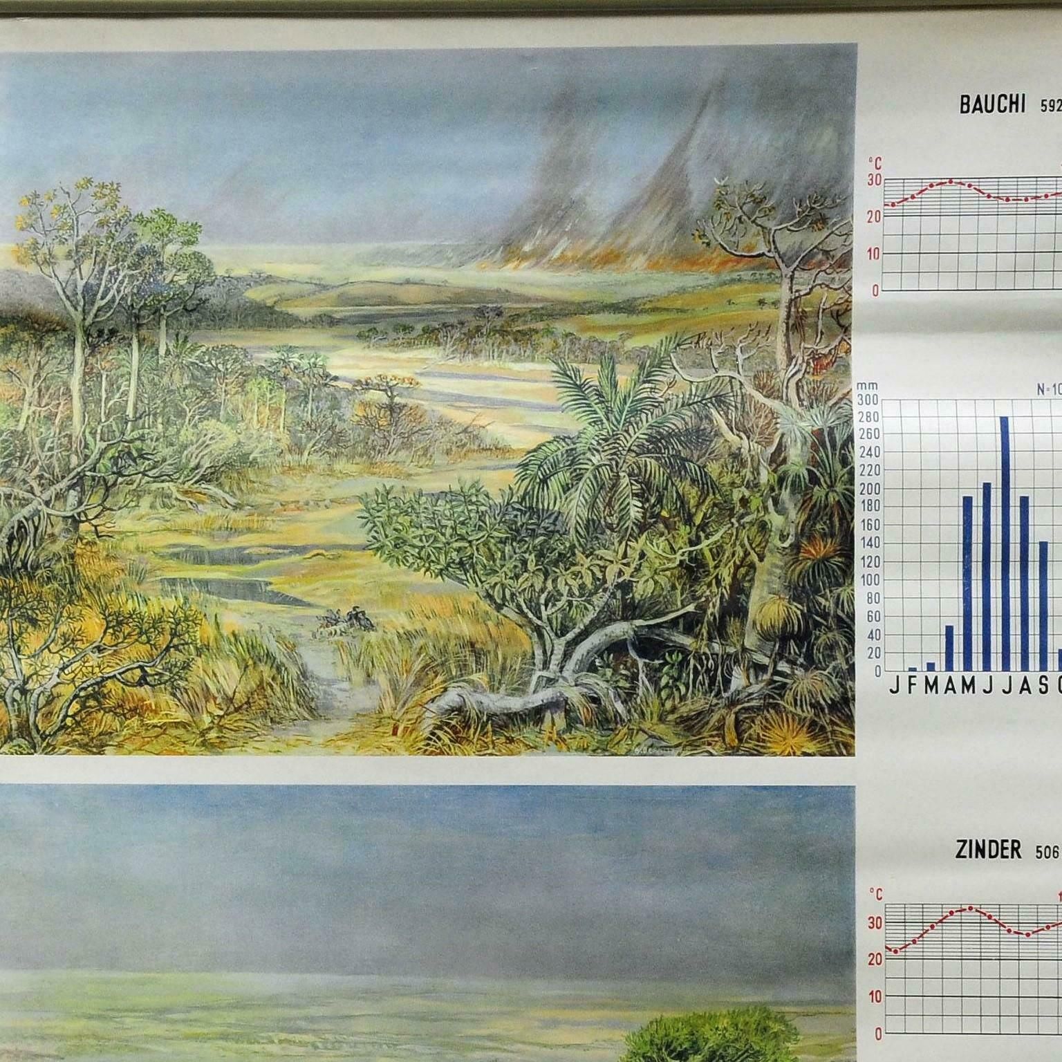 Vintage Cottagecore Rollable Wallchart Africa Savanna Landscape Weather Seasons photo for sale