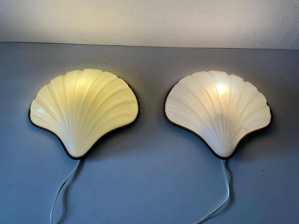 Italian Unique White Plexiglass Shell Shaped Pair Of Large Sconces, 1950s, Italy