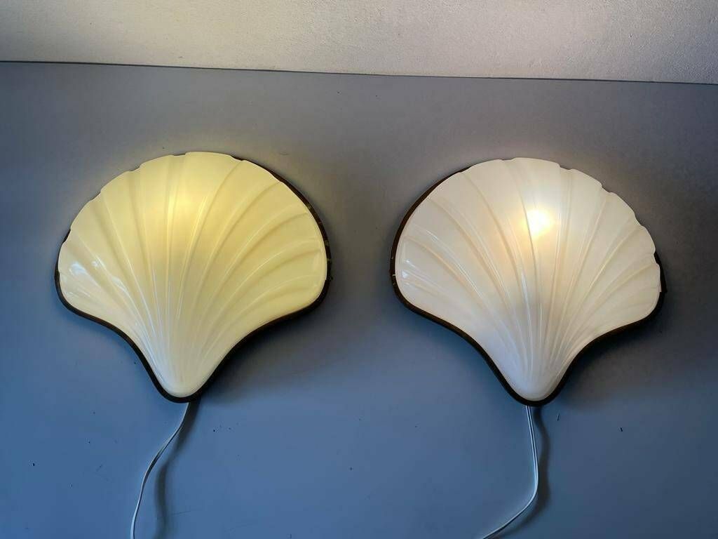 Italian Unique White Plexiglass Shell Shaped Pair Of Large Sconces, 1950s, Italy photo Lighting