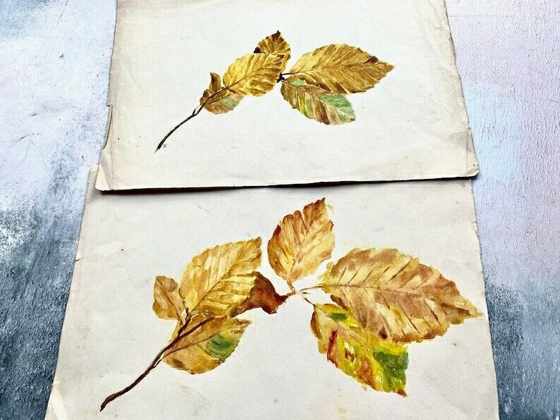 Pair Of Antique Autumnal Leaf Watercolour Paintings   Ethel Francis photo furniture