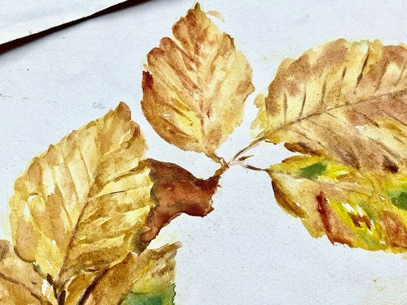Pair Of Antique Autumnal Leaf Watercolour Paintings   Ethel Francis photo vinterior