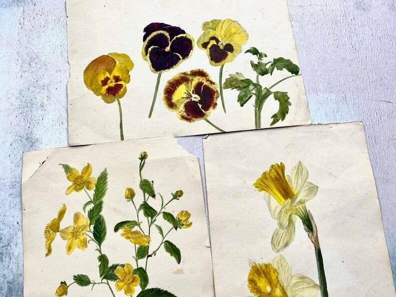 Collection Of Four Antique Floral Watercolour Paintings   Ethel Francis photo furniture