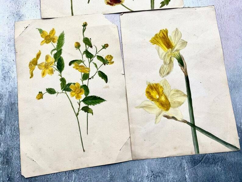 Collection Of Four Antique Floral Watercolour Paintings   Ethel Francis photo for sale