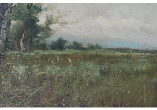 Spanish Landscape With Farmhouse And Wildflower Meadow photo 529.0