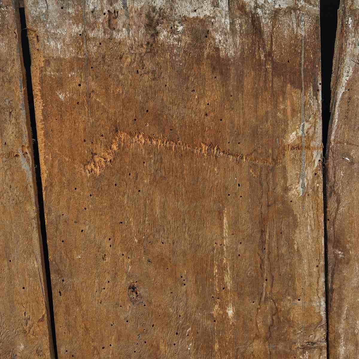 1172.6208 Sideboard From 1700 photo