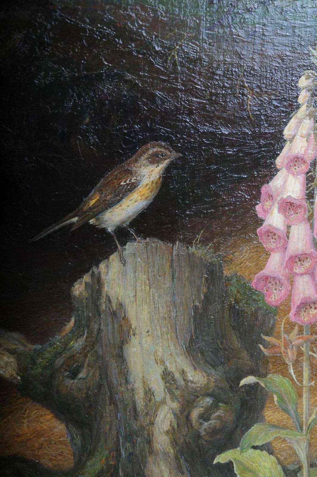 Art Beautiful Oil Painting Fawn Signed K. Roquette 20th Century photo