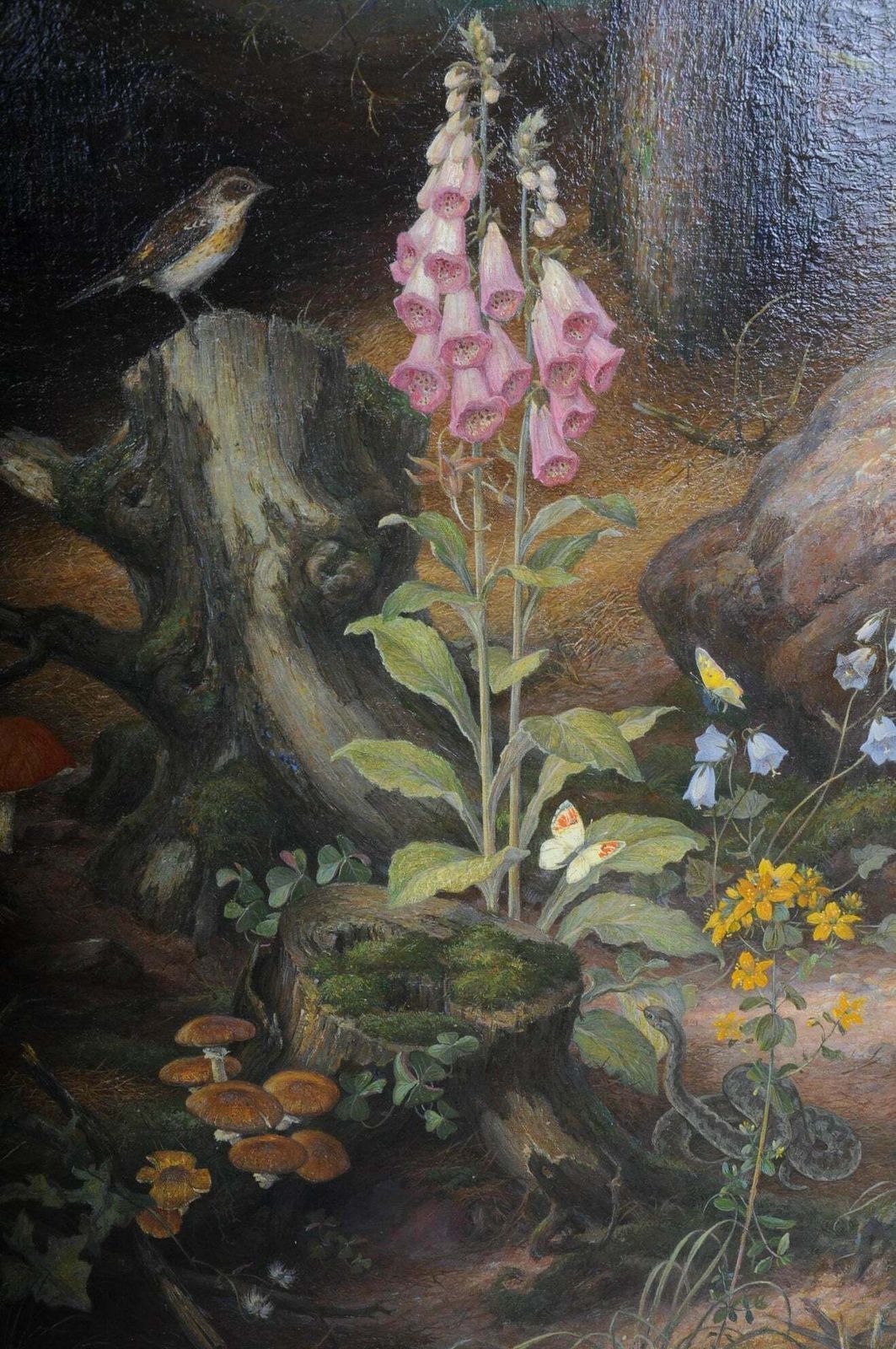 1159.0 Beautiful Oil Painting Fawn Signed K. Roquette 20th Century photo