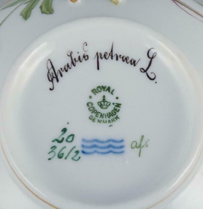 Royal Copenhagen Flora Danica Bouillon Cup With Saucer In Hand Painted Porcelain photo vinterior