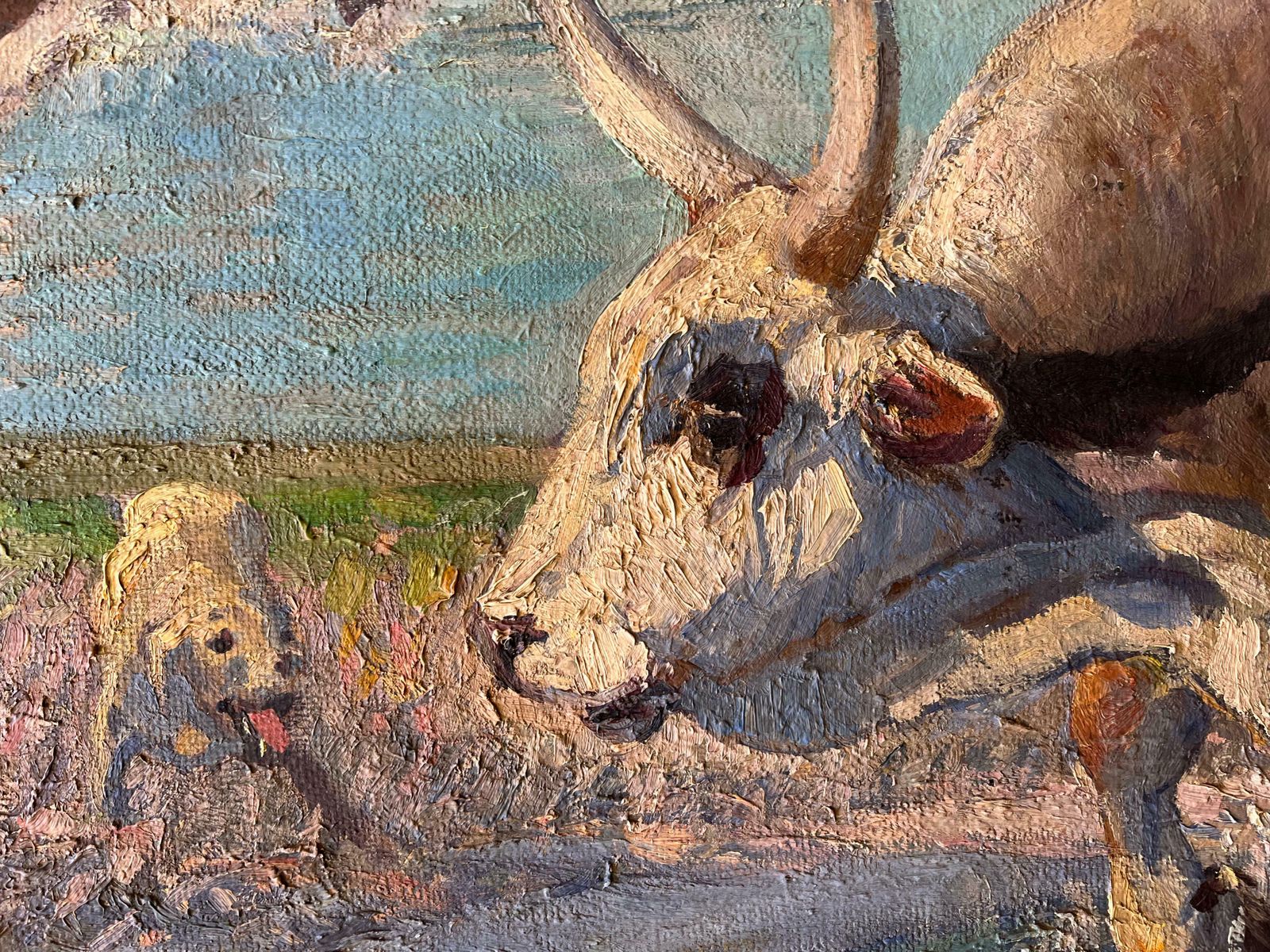 In The Wilderness By Juszkó Béla Hungary 1960 photo 3635.0