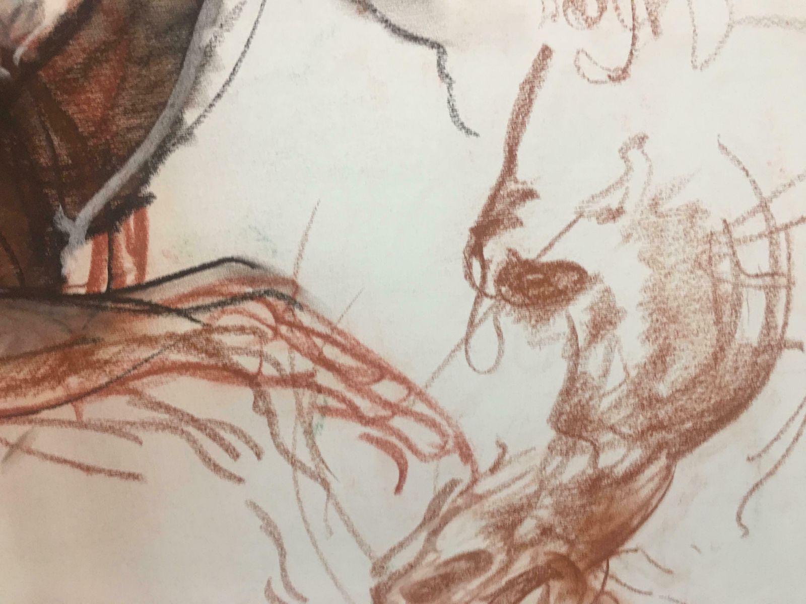 Mad Horse Pencil Fat By Giuseppe Colin 1990 photo vinterior