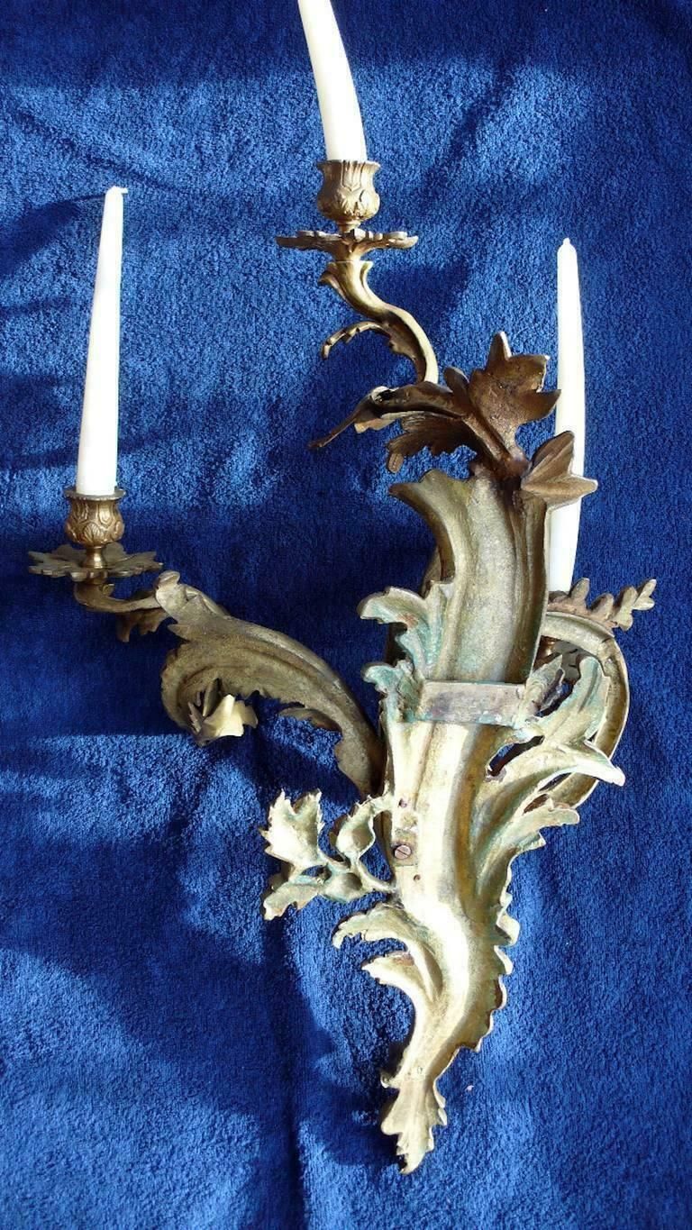 Very Rare Trio Of Gilded Bronze Louis XV Italian Sconces, 1880s photo for sale