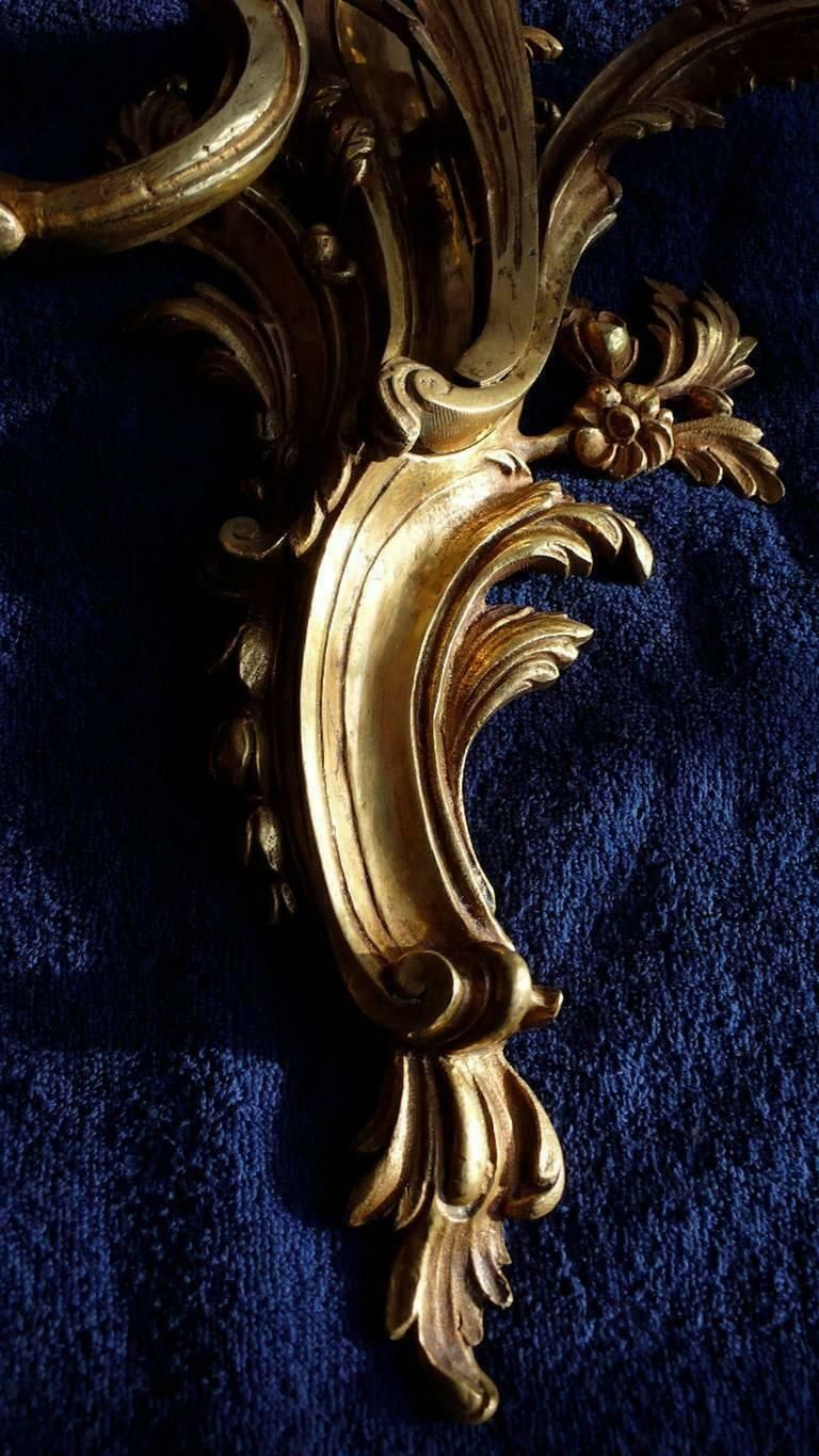 Very Rare Trio Of Gilded Bronze Louis XV Italian Sconces, 1880s photo Lighting