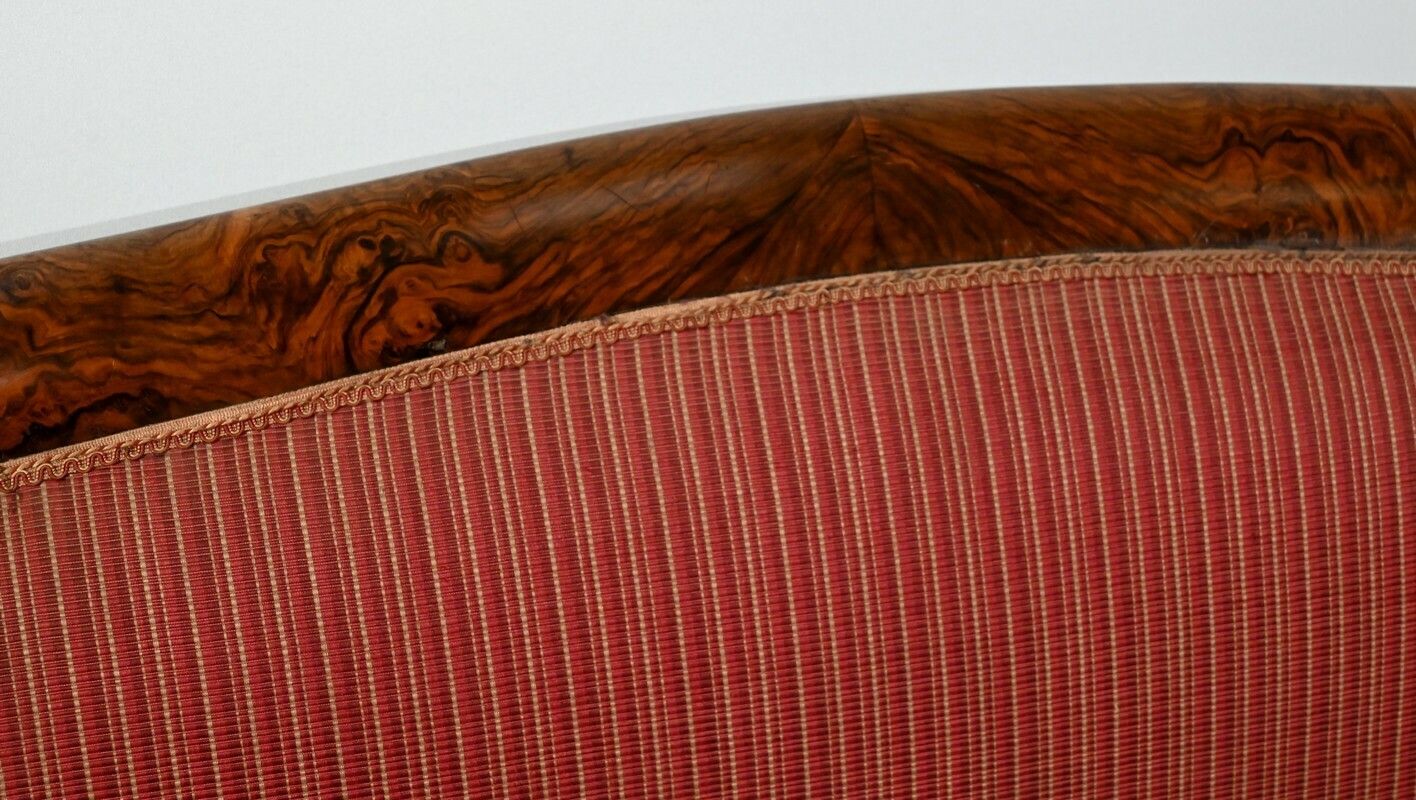 3 Seater Sofa In Burl Walnut, Restoration Style   1st Part Of The 19th Century photo vintage
